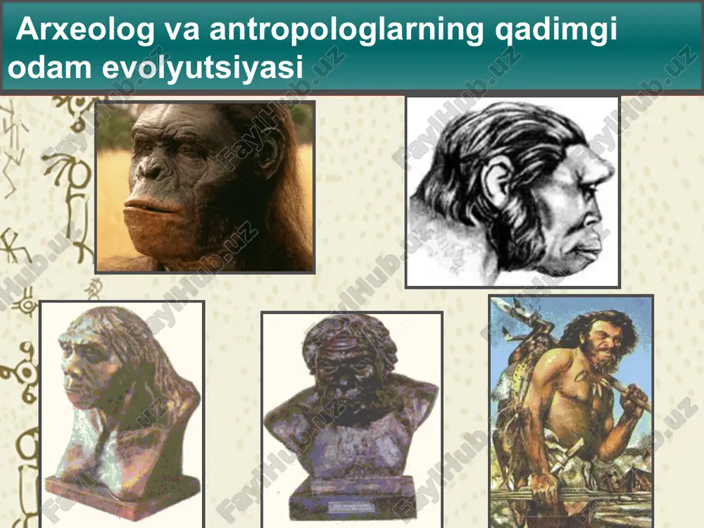 koʻp olimlar oʻzbekiston hududida ilgari yaqin sharqda janubiy va janubi-sharqiy osiyoda yashagan odamlar yashagan deb tahmin qilishadi . 1987-yilda arxeolog u.islomov fargʻona vodiysida ( soʻx daryosi ) sel-ungʻur gʻori manzilgohini topadi . ushbu kashfiyot tufayli olimlar o‘zbekiston homo sapiens shakllanish zonasining bir qismi degan xulosaga kelishdi . qadimgi odamlarning hayoti men qadimgi odam bilan joy almashishni xohlagan bu’lardim . garchi hozir ko'pchilik " soddalashtirish ", tsivilizatsiya kishanlarini tashlash , tabiatda yashash , tabiiy ovqat iste'mol qilish kerakligi haqida gapirsa ham. shunda biz , ota-bobolarimiz kabi , 150 yilgacha yashay olar emiz . men inson evolyutsiyasi haqida ko'p o'qiganman . o‘ylaymanki , har bir bilimli kishi qadimgi odamlarning hayoti og‘ir bo‘lganligi tushunadi . qadimgi odamlarning hayoti aslida , odamlarning umr ko'rish muddati ancha qisqa edi . ular 35-40 yilgacha yashadilar . o'sha paytda infektsiyalar va onkologiya deyarli yo'q edi . ammo odamlar ko'p ov qilishlari kerak edi va bu juda xavfli …