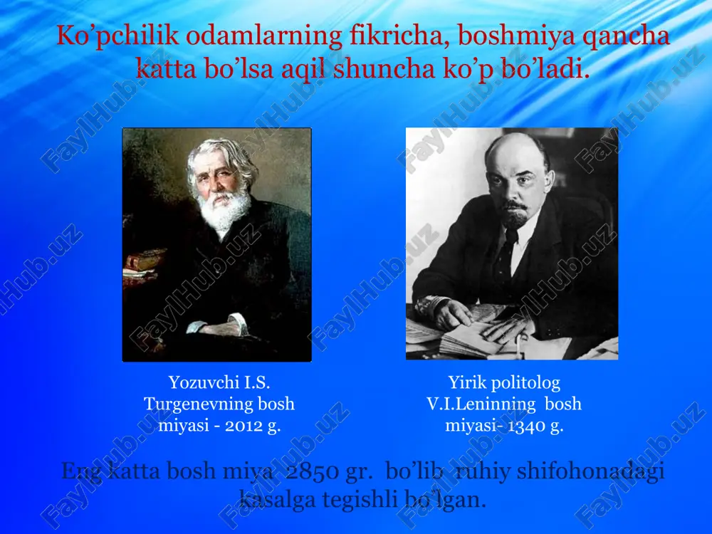 joylashgan. funktsiyalari:refleks va o'tkazuvchanlik. ovqat hazm qilish, nafas olish, yurak-qon tomir faoliyati, chaynash, yutish, shuningdek yo'tal, hapşırma, qayt qilish kabi himoya reflekslarini tartibga soladi. varolev ko’prigi ko'prik - bu nerv tolalari joylashgan joy bo'lib, uning bo'ylab nerv impulslari miya yarim sharlaiga yoki orqaga, orqa miyasidan pastga va undan yuqori tomonga ko'tariladi. bundan tashqari, mimika, chaynash funktsiyalari bilan bog'liq markazlar joylashadi. miyacha. miyacha ikkita yarim sharlardan iborat bo’lib chuvalchang shaklida birikkan bo’ladi. miyachaning kulrang moddasi uning po’stlog’i shaklida ustki yuza qismida yotadi. bu po’stloqning qalinligi 1-2,5 mm. miyachaning yuzasi ko’p sonli egatlar bilan g’adir-budur uyma-chuqurliklar ko’rinishida bo’ladi. miyacha po’stlog’ining ostida oq modda joylashgan va uning ichida esa kulrang moddaning to’rtta yadrosi joylashadi. oq moddaning tolalari, miyachaning o’zini turli qismlarini orasidagi bog’lanishlarni ta’min etadi, hamda pastki, o’rtangi va yuqorigi miyacha oyoqchalarini hosil qiladi va miyachani miyaning boshqa bo’limlari bilan bog’laydi. o'rta miya o'rta miya - ko'rish va eshitish impulslari ta'sirida paydo bo'ladigan …