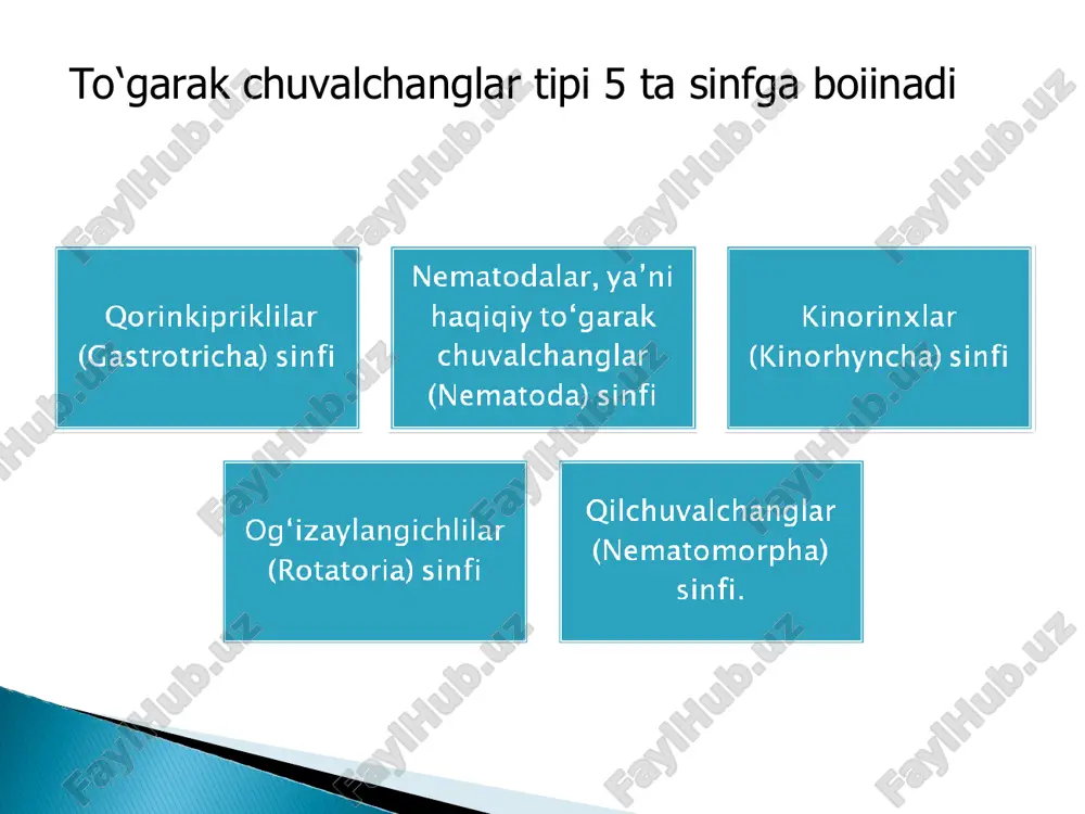 to'garak chuvalchanglar - Page 4