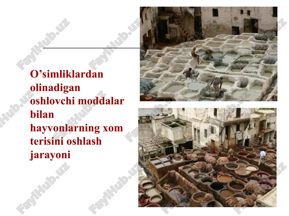 maga jelatinani 1% eritmasi tomchilab qo’shilganda cho’kma hosil bo’ladi (ortiqcha tomchi cho’kmani eritib yuboradi); ajratma alkaloid tuzlari, og’ir metall tuzlari, shilliq moddalar bilan amorf cho’kma hosil qiladi. 2-3ml ajratmaga brom suvi tomizilsa kondensatsiyalanuvchi tanidlar cho’kma beradi. tahlil usullari rangli reaktsiyalar: temirning iii valentli tuzlari bilan gidrolizlanuvchi oshlovchi moddalar qora-ko’k, kondensatsiyalanuvchi oshlovchi moddalar qora-yashil cho’kma hosil qiladi. 2-3 ml ajratmaga natriy nitrat tuzidan bir necha kristall va 0,1m xlorid kislotadan 5 tomchi qo’shiladi. gidrolizlanuvchi tanidlar jigarrang hosil qiladi. stiasni reaksiasi (tasnif reaktsiyasi) 50 ml ajratmaga 10ml konts. (1:1) xlorid kislota va formalinning 40% eritmasidan 15 ml qo’shiladi. so’ngra kolbani havo sovitgichi bilan birlashtirib qizdiriladi. bunda kondensatsiyalanuvchi oshlovchi moddalar qo’ng’ir cho’kma hosil qiladi. cho’kma filtrlanadi. filtratda gidrolizlanuvchi oshlovchi moddalar borligi aniqlanadi. buning uchun 5 ml filtrat olib, ustiga 1g natriy atsetat kristalli asta-sekin solinadi va aralashmani chayqatmay, temir–ammoniyli achchiqtoshning 15% eritmasidan 10 tomchi qo’shiladi. natijada natriy atsetati kristali atrofidagi neytral zonada ko’k …