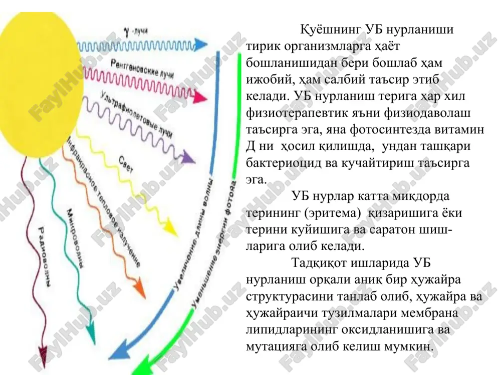 nurlar λ (to'lqin uzunligi) 100-1000 nm gacha. bu kvantlarning energiyasi 120-1200 kj/mol ni tashkil qiladi. fotokimyoviy reaktsiyalar fotokimyo ikkita qonunga asoslanadi: 1. grotthus-dreper qonuni: faqat atrof-muhit tomonidan so'riladi radiatsiya uning kimyoviy o'zgarishiga olib kelishi mumkin. 2. eynshteyn-stark qonuni: har bir so'rilgan kvant asosiy harakatdagi yorug'lik faqat bitta molekulani faollashishi mumkin . eynshteyn-stark qonuniga ko'ra, miqdor bir mol modda tomonidan so'rilgan em energiyasi teng deb olinadi: grotgus qoidasiga ko'ra, fotokimyoviy reaktsiyaga faqat molekula tomonidan yutilgan nurgina sabab bo'ladi. demak, fotokimyoviy jarayonlar asosida yorug'likning yutilishi hodisasi yotadi. intensivligi io-nurning, qalinligi l-ga teng yutuvchi muhitdan o'tishini ko'zdan kechiramiz. mazkur intensivlik, yutuvchi muhitdan chiqqanda, yutilish evaziga kamayib, i-ga teng bo'lib qoladi. oqimning pasayishi faqatgina zarrachalar tomonidan yutilgan sonlar bilan aniqlanadi va molekulalarning o'zaro ta'siriga va oqimning absolyut kattaligiga bog'liq bo'lmaydi. t = i/io (x100%) qiymat yorug'lik o'tkazish koeffitsienti deb ataladi. grotgus (grotthus), teodor fon 20 yanvarya 1785 g. – 26 marta 1822 g fotokimyoviy …