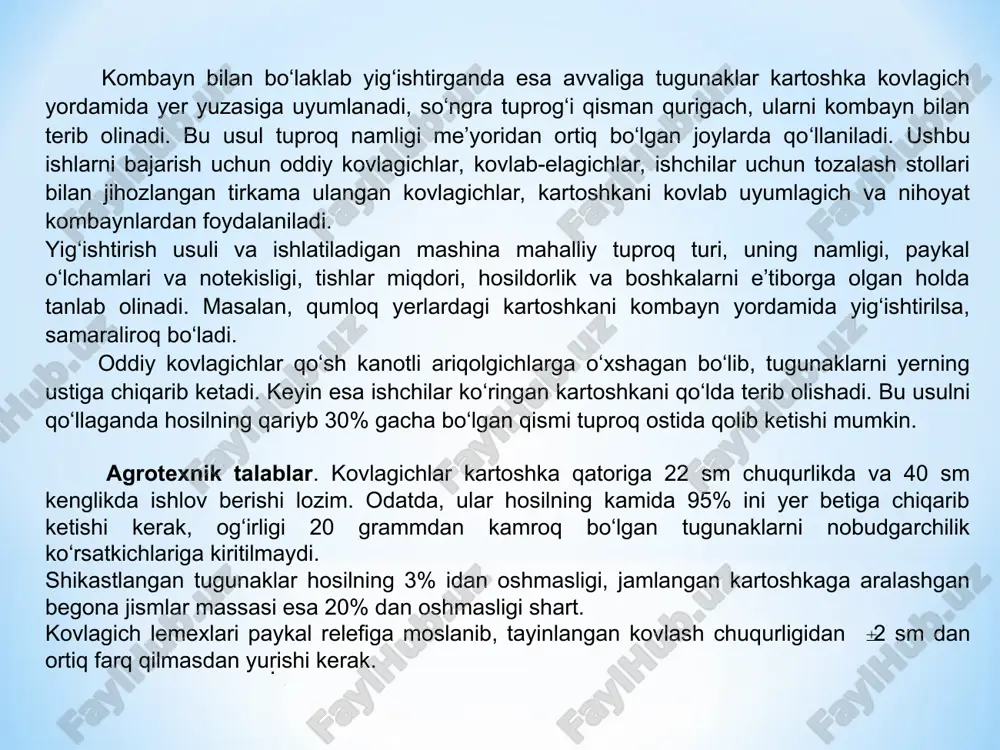 , pritsep 4 ustidagi transportyor stoli 3 ga so‘nggi marta tozalanish uchun tushadi. transportyor stolining ikki tomonida o‘tirgan ishchilar kartoshkani terib, maxsus idishga solishadi, tosh-kesaklar esa yo‘l-yo‘lakay to‘kilib qolaveradi. bu usul bilan urug‘lik uchun etishtirilgan kartoshkani yig‘ishtirish maqsadga muvofikdir. kovlab-uyumlagich bir necha katordan kovlab olingan tugunaklarni to‘plab, bir katorga uyumlab tukib ketadi. 3-rasm. tozalash stollari urnatilgan pritsepni kovlab-elagichga ulash sxemasi. 1 - kovlagich lemexi; 2 - kepchigich; 3 - transportyor-stol. kartoshka kavlagichlar va kartoshka yig‘ishtirish kombaynlari bu kombayn (4-rasm) eng mukammal mashinalardan hisoblanib, kartoshka hosilini yig‘ishtirib olishda qo‘l mehnatini kam sarflash imkonini beradi. kombayn hosilni kovlab oladi, tuproq va toshlardan tozalaydi, palagini ajratadi va tugunaklarni bunkerga to‘playdi. kombayn ustida 4 - 6 ishchi uchun o‘rindiqlar o‘rnatilgan bo‘lib , u erda o‘tirgan kishilar tozalash stolidan o‘tayotgan tugunaklarni saralab, tosh qoldiqlaridan tozalaydilar. oddiy kovlagichga nisbatan mehnat sarfi 3...4 marta kam. 4 - rasm. kombayn sxemasi. 1 - chivikni elevator; 2 - kepchigich …