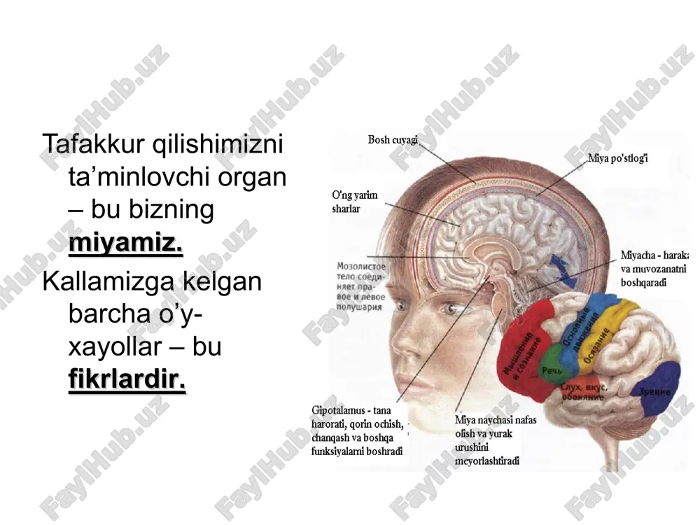 iston – mustaqil davlat. 2-hukm: qirg’iziston – mustaqil davlat. 3-hukm: qozog’iston – mustaqil davlat. 4-hukm: turkmaniston – mustaqil davlat. 5-hukm : tojikiston – mustaqil davlat. demak, barcha markaziy osiyo davlatlari – mustaqildir. fikrlash operatsiyalar analiz, sintez taqqoslash, abstraksiyalash umumlashtirish, tasniflash tizimga solish fikrlash jarayonini ta’minlovchi operatsiyalar klassifikatsiyasi analiz (fikran narsa va hodisalarga taalluqli sifat va xususiyatlarni alohida qilib ajratish, tahlil qilish) 1 2 sintez (analiz jarayonida ajratilgan qismlarni yana fikran birlashtirish, qo’shish) 3 mavhumlashtirish (alohida biror xususiyatni ajratib, boshqa- laridan fikrni chalg’itish, ayrim xossani mavhumlashtirish) 4 taqqoslash (predmetlar va ularga xos bo’lgan xususiyatlarni fikran bir-biriga solishtirish, umumiy va farq qiluvchi jihatlarini topish) umumlashtirish (umumiy va muhim sifatlariga ko’ra predmetlarni guruhlashtirish, umumiylashtirish) 5 ma’mulotning anglanganligi i p i o x o y a s l g xotiraning sakkiz qonuni: o’zlashtirilish lozim bo’lgan ma’lumotning xotirada saqlanish bosqichlari: ortiqchasini ko'rsating … yordam olishga ko’nikib qolganlar bir kun kelib ko’rsatma ham olishga ham o’rganadilar. …