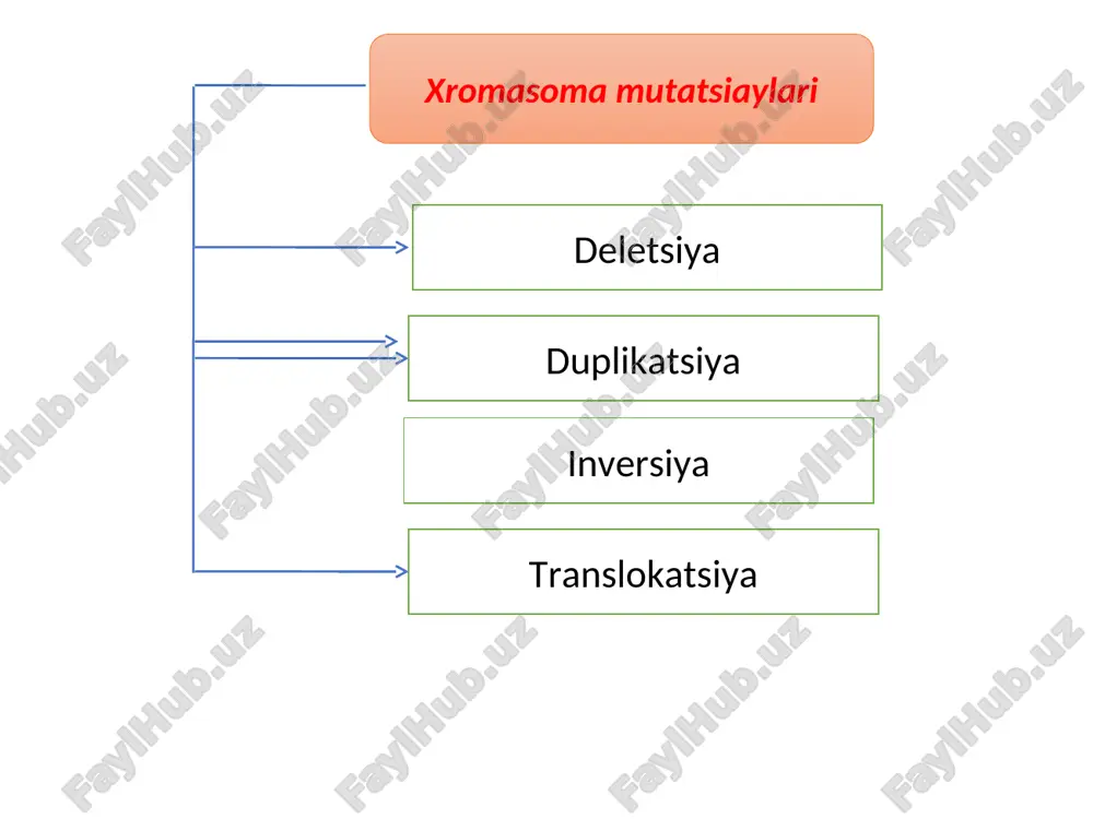hayot kechiruvchi individlarning esa harakatchan lichinkalari, yuksak o`simliklar changi va urug`i, tuban o`simliklar, zamburug`lar sporalari yordamida joydan-joyga ko`chadi. evolyutsion nazariyada tirik organizmlarning ko`chishi keng ma’noda, ya’ni bir populyatsiyadagi organizmlarning o`z makonidan tashqariga chiqib, boshqa populyatsiyaga mansub organizmlar bilan chatishishi natijasida, genofondining o`zgarishi, hatto yangi tur kelib chiqishi uchun asos bo`lishi tushuniladi. organizmlarning ko`chishi tufayli populyatsiya genofondining o`zgarishi genlar oqimi va genlar introgressiyasi yo`nalishida boradi. alohidalanish (izolyatsiya) evolyutsiya jarayonining dastlabki omili. evolyutsiya jarayonida alohidalanish— izolyatsiya organizmlarning osonlik bilan chatishishini bartaraf etishga, populyatsiyalar va turlarga mansub organizmlardagi farqning ko`payishi va mustahkamlanishiga qaratilgan. farqlarning mustahkamlanishi esa o`z navbatida yangi individlarning shakllanishiga ijobiy ta’sir ko`rsatadi. alohidalanish geografik alohidalanish biologik alohidalanish ekologik alohidalanish etiologik alohidalanish geografik alohidalanish yirik daryolar, baland tog‘lar va boshqa to‘siqlar orqali ro‘y beradi biologik alohidalanish tur ichidagi individlarning o‘zaro chatishmasligiga olib keladi. ekologik alohidalanish bir tur doirasidagi organizmlarning har xil vaqtdagi jinsiy faolligi va jinsiy yetilishi bilan aloqador. etiologik alohidalanish hayvonlarning …
