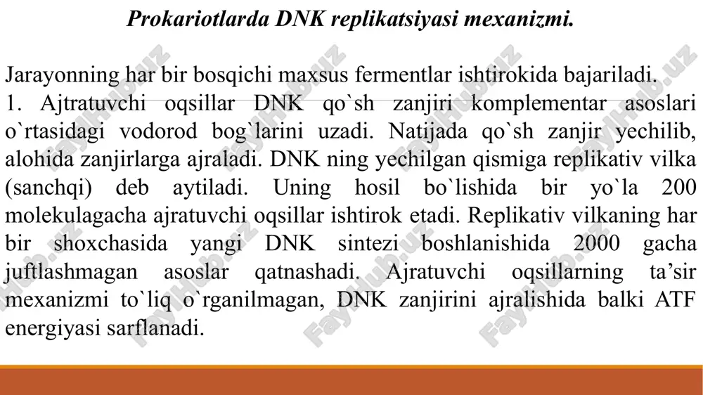 a dnk-polimeraza i bilan birga ishtirok etadi . 5. dnk-ligazalar (biriktiruvchi fermentlar). yangi sintezlangan dnk qismlarini bir-biri bilan bog`lash vazifasini bajaradigan bir nechta fermentlar aniqlangan . dnk-ligazalar nad + dan adenilil manbai sifatida foydalanib, 3¹→ 5¹ fosfodiefir bo`g`larini hosil qiladi. e’tiboringiz uchun raxmat ! dnk reparatsiyasi. dnk bitta zanjirining buzilgan qismini to`g`rilanishi yoki reparatsiyasini chegaralangan replikatsiya sifatida qarash mumkin. masalan , teri epitelial hujayrasi dnk zanjirini ultrabinafsha nurlar ta’sirida zararlaganda kuzatiladigan reparatsiya jarayoni ancha mukammal o`rganilgan. rnk-tomizg`i dnk-polimeraza iii ta’sirida maxsus ribonukleaza h yoki dnk polimeraza i yordamida to`liq ajralib chiqadi. rnk-tomizg`i egallagan joyda dnk-polimeraza i yordamida dnk zanjiri o`sa boshlaydi. sintezlangan dnk fragmentlari (okazaki fragmentlari)ni birikishi 3¹→ 5¹ yo`nalishida dnkligaza yordamida amalga oshadi. keyingi tekshirishlar dnk sintezining initsiatsiyasi yana ham murakkab ekanligini ko`rsatdi. praymaza ta’siri oldidan kamida 5 ta oqsildan iborat kompleks hosil bo`lishi zarur ekanligi aniqlandi. oqsillardan biri atf energiyasidan foydalanib , dnk zanjiri bo`ylab harakatlanadi, bu esa …