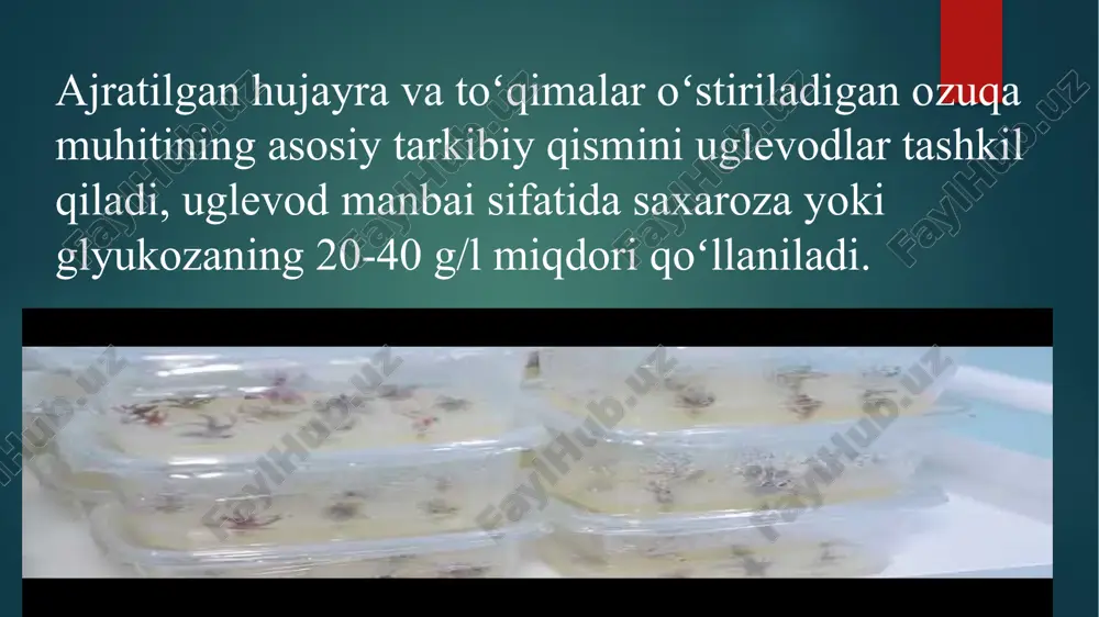 shqa organlarga tashiladi. gibberellinlar - oʻsimliklarning oʻsish jarayonlarini boshqaruvchi tabiiy moddalar (fitogormonlar guruhi). yapon olimi ye. kurosava 1926-yilda kashf etgan. kimyoviy tabiatiga koʻra tarkibida 19 yoki 20 ta uglerod atomi tutgan tetratsiklik mono-, di- va tri-karbon kislotalardir. 100 ga yaqin g. maʼlum. g. oz miqdorda yuksak oʻsimliklar tarkibida tarqalgan. g. ni zamburugʻlar, koʻpgina bakteriyalar, suvoʻtlar ham sintez qiladi. odatda, oʻsimlik toʻqimalarida uning 1 kg ogʻirligiga nisbatan 0,01 dan 1,4 mg gacha g. boʻladi. eng faol g.dan biri - gibberellin kislota bir necha mamlakatlarda mikrobiologiya sanoatida ishlab chiqariladi. g. hujayralarning boʻlinishi va kengayishi hisobiga oʻsimlik organlari oʻsishini tezlashtiradi, nuklein kislotalar va oqsillar sintezini faollashtiradi, gullashni tezlashtiradi, barg va mevalarning qarishini sekinlashtiradi. urugʻlik, tuganaklar, piyozchalarning tinim davrini qisqartiradi. gibberlin poyaning oʻsishini tezlashtirib, barglar oʻsishiga deyarli ta’sir etmaydi va ildiz oʻsishini toʻxtatadi. gibberlinlarning ildizga salbiy ta’siri oziqa moddalarni qayta taqsimlanishi natijasida oʻsimlikning yer ustki qismining oʻsishi tezlashishi bilan bogʻliq boʻlishi mumkin. gibberlinlarning tanqisligi …
