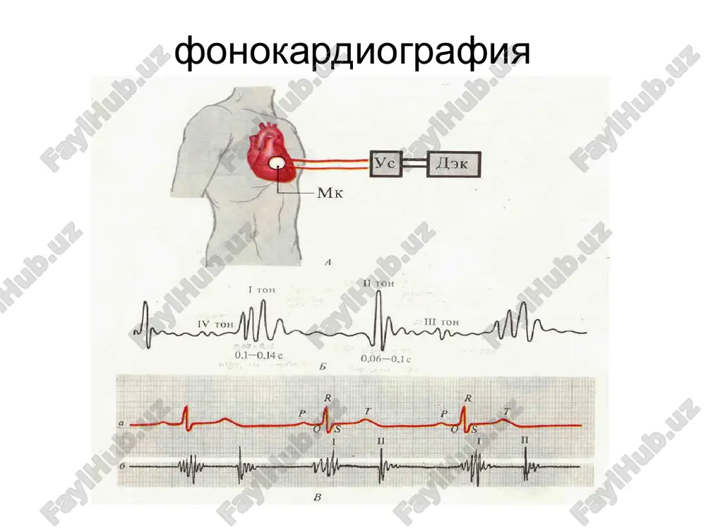 yurak faoliyatining tashqi ko'rsatkichlari - Page 4