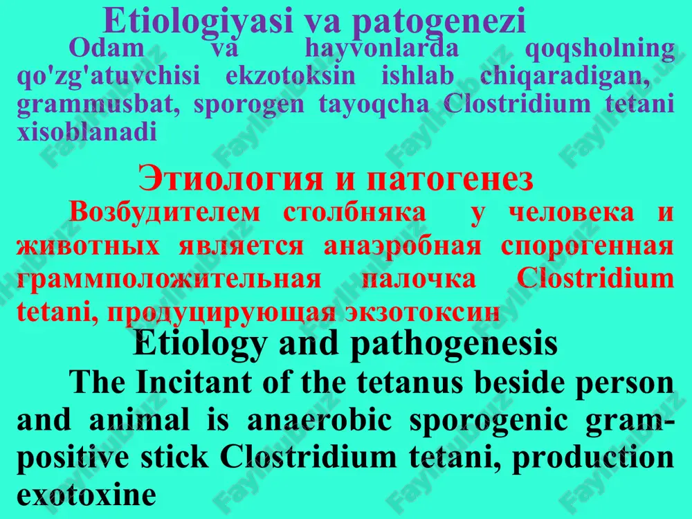 razmnojatsya. ekzotoksin cl. tetani soderjit tetanospazmin i tetanogemolizin, vsasivanie kotorix opredelyaet klinicheskuyu kartinu bolezni tetanic stick at parenteral hit in organism remains in the field of input winch, where begins intensive reproduction. exotoksine cl tetani contains tetanospasmine and tetanohemolisine, which suction defines the clinical picture disease tetanospazmin nerv tizimiga ta'sir qilib o'ziga xos bo'lgan mushaklarning tonik va klonik qisqarishiga sabab bo'ladi. tetanogemolizin eritrotsitlarni parchalaydi tetanospazmin vozdeystvuet na nervnuyu sistemu, vizivaya xarakternie tonicheskie i klonicheskie sudorogi mishts. tetanogemolizin razrushaet eritrotsiti tetanospasmine acts upon nervious system, causing typical tonic and clonic of the crick muscles. tetanogemolisine destroys erythrocytes much favourable toksinlar perinevral va endonevral yo'llar bilan, limfatik yo'llar orqali markaziy yo'nalishda, periferiyadan orqa va uzunchoq miyaning harakatlantiruvchi markazlari tomon harakatlanadi toksini rasprostranyayutsya po perinevralnimi i endonevralnimi limfaticheskim shelyam tsentripetalno, v napravlenii ot periferii k dvigatelnim tsentram spinnogo i prodolgovatogo mozga the toxins spread on perinevral and endonevral lymphatic slots centripetal, toward from …