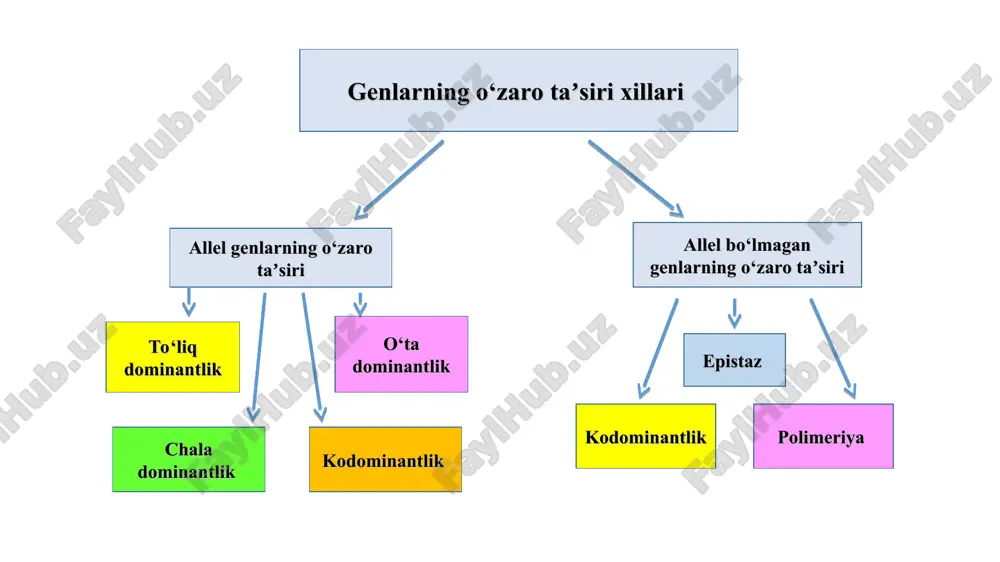 qon aylanish, nerv, ovqat hazm qilish va ayirish tizimlari faoliyatining buzilishiga olib keladi. bunday mutatsiyaga nisbatan gomozigot (retsessiv gomozigotali) bo‘lgan odam bolalik davridayoq nobud bo‘ladi