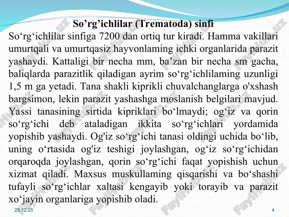 ahira oziq modda glikogen to'planadi. sariqdon hujayralari tuxum hujayrani o'rab oladi. sariqdon hujayralari ajratadigan maxsus modda bu hujayralar sirtida qattiq po'choq hosil qiladi. yetilgan tuxum bachadonga tushadi; u joydan tashqi muhitga chiqib ketadi. * * * * * * rivojlanishi. so‘rg‘ichlilaming hayot sikli juda murakkab bo'lib, nasi almashinish orqali boradi. jigar qurti (fasciola heratisa)ning rivojlanishi quyidagicha boradi. so'rg'ichlilaming voyaga yetgan davri marita deyiladi. jigar qurtining maritasi jigaming o't yo'llarida parazitlik qiladi va shu joyga tuxum qo'yadi. tuxumlari o't yo'li orqali ichakka, so'ngra xo'jayini axlati bilan tashqi muhitga chiqib ketadi. tasodifan suvga tushib qolgan tuxumlardan kipriklar bilan qoplangan mikroskopik lichinka - miratsidiy rivojlanib chiqadi. miratsidiyning ikkita oddiy ko'zchasi, nerv gangliysi va bir juft protonefdiylari bo'ladi miratsidiyning tanasi keyingi qismida maxsus partenogenetik tuxumlari, ya’ni murtak hujayralar bo'ladi. lichinka tanasining oldingi uchida kichikroq muskulli xartum bor. xartum uchiga maxsus lichinka bezining yo'li ochiladi. miratsidiy o'z tanasidagi zahira glikogen hisobiga yashaydi. miratsidiyning bundan keyingi …