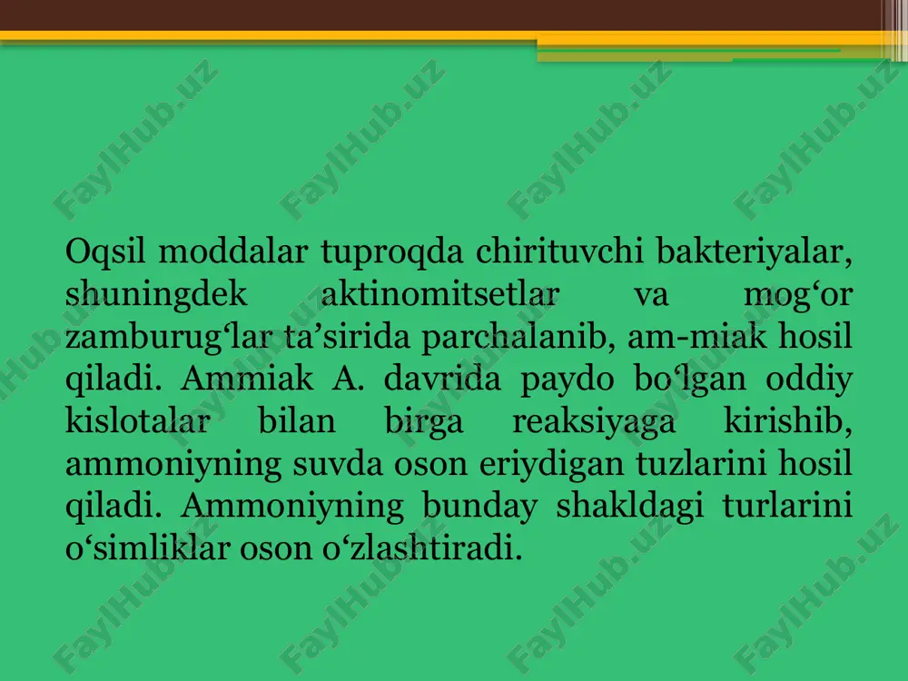 ammonifikatsiya jarayonlari - Page 4