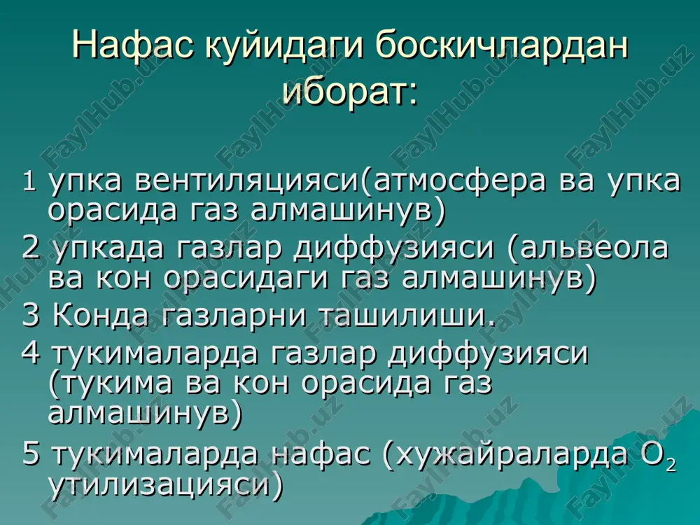 tashqi nafas - Page 4