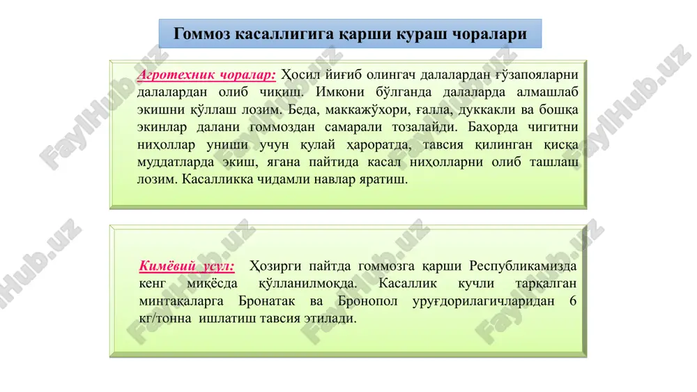 uzatiladigan va hosilga zarar keltiraolmaydigan kasallikka aylangan (aqsh sharqining sernam qismlari istisno).shu bilan birga aqsh sharqining sernam zonalarida va bir nechta boshqa mamlakatlarda antraknoz hozirgacha xavfli kasallik bolib qolmoqda. kasallik rivojlanishi va belgilari. qo’zgatuvchi zamburug1 go’zani butun o’suv davrida va barcha rivojlanish fazalarida zararlaydi. 0’simliklarning ildiz qismidan tashqari barcha organlari - urugbarg, nihollar, chin barg, barg bandi, poya, ko’sak, ko’sak bandi, tola va chigit zararlanadi. antraknoz ayniqsa yosh nihollarga va ko'saklarga katta zarar yetkazadi. patogen o'simlik to'qimasiga odatda mexanik jarohatlar va hasharotlar paydo qilgan yaralar orqali kiradi, ammo konidiya chiqargan infeksion gifa toqimaga togridan-togri ham kira oladi.zamburug to’qima ichida (endogen shaklda) rivojlanadi, tashqariga faqat konidiya hosil qiluvchi organlari chiqadi. zararlangan urug ekilishi urugpalla va yosh nihollar zararlanishiga olib keladi. ularda paydo bo’lgan konidiyalar yomgir tomchilari, hasharotlar va shamol orqali soglom o'simliklarga tarqaladi va zararlaydi. yomgir va havoning yuqori nisbiy namligi o’simliklar zararlanishi uchun qulay sharoit tugdiradi. quruq ob-havoda kasallik rivojlanishi …