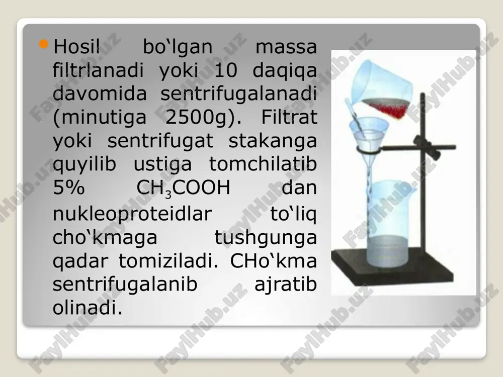 achitqidan nukleoproteidlarni ajratish - Page 4