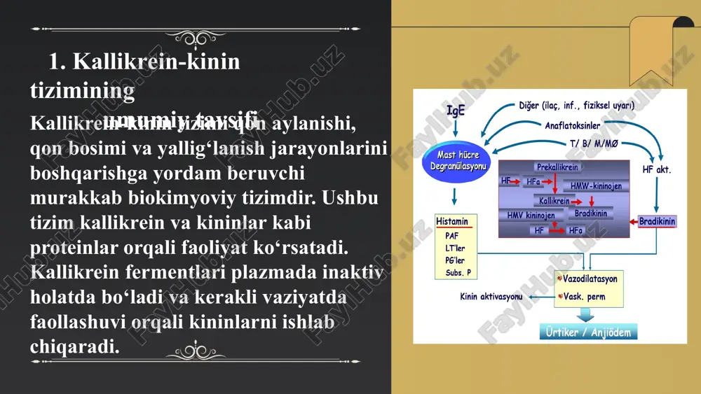va prostaglandinlar kabi boshqa mediatorlar bilan hamkorlikda ishlaydi. ... t.me/slaydai_bot 7. kallikrein-kinin tizimi va qon bosimini tartibga solish kallikrein-kinin tizimi organizmda qon bosimini tartibga solishda muhim rol o‘ynaydi. bu tizim kallikrein fermentlari orqali kininojenlardan kininlar hosil qiladi. kininlar, masalan, bradikinin, tomirlarni kengaytirib, qon bosimini pasaytirishga yordam beradi. kallikrein-kinin tizimi renin-angiotenzin tizimi bilan bog‘liq bo‘lib, u ham qon bosimi va elektrolit balansi ushlab turishda ishtirok etadi kininlarining ta'siri qisqa muddatli bo‘lsa-da, ular yallig‘lanishni rag‘batlantirishi va og‘riq sezgirligini oshirishi mumkin. shu tarzda bu tizim asab tizimi va yallig‘lanish jarayonlari bilan ham o‘zaro aloqada bo‘ladi, bu esa tana ichida kompleks tartiblashtiruvchi mexanizmlarni ta'minlaydi. ... t.me/slaydai_bot kallikrein-kinin tizimi va vaskulyar tizimning o'zaro ta'siri asosan qon bosimini va yallig'lanishni boshqarish bilan bog'liq. kallikrein fermentlari kininogenlardan kininlarni hosil qiladi, bu esa vazodilatatsiya va qon tomirlarning kengayishiga olib keladi. kininlar, masalan, bradikinin, tomirlar devorini toraytirib, qon bosimini pasaytiradi. shuningdek, bu tizim qon ivishi, yallig'lanish va og'riq signalizatsiyasida …