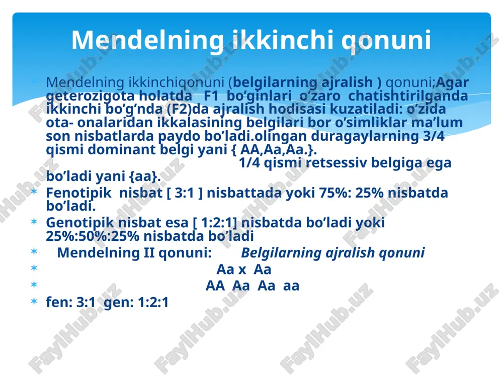 nisbatda bo’ladi. chatishtirish jarayonida alel yani o’xshash belgilar o’zaro chatishadi. mendelning iii qonuni: mustaqil taqsimlanish qon uni aabb x aabb a b --9 a bb – 3 aab_-- 3 aabb – 1 fen: 9:3:3:1 gen: 1:2:2:4:1:2:1:2:1 ab ab ab ab ab aabb aabb aabb aabb ab aabb aabb aabb aabb ab aabb aabb aabb aabb ab aabb aabb aabb aabb /docprops/thumbnail.jpeg