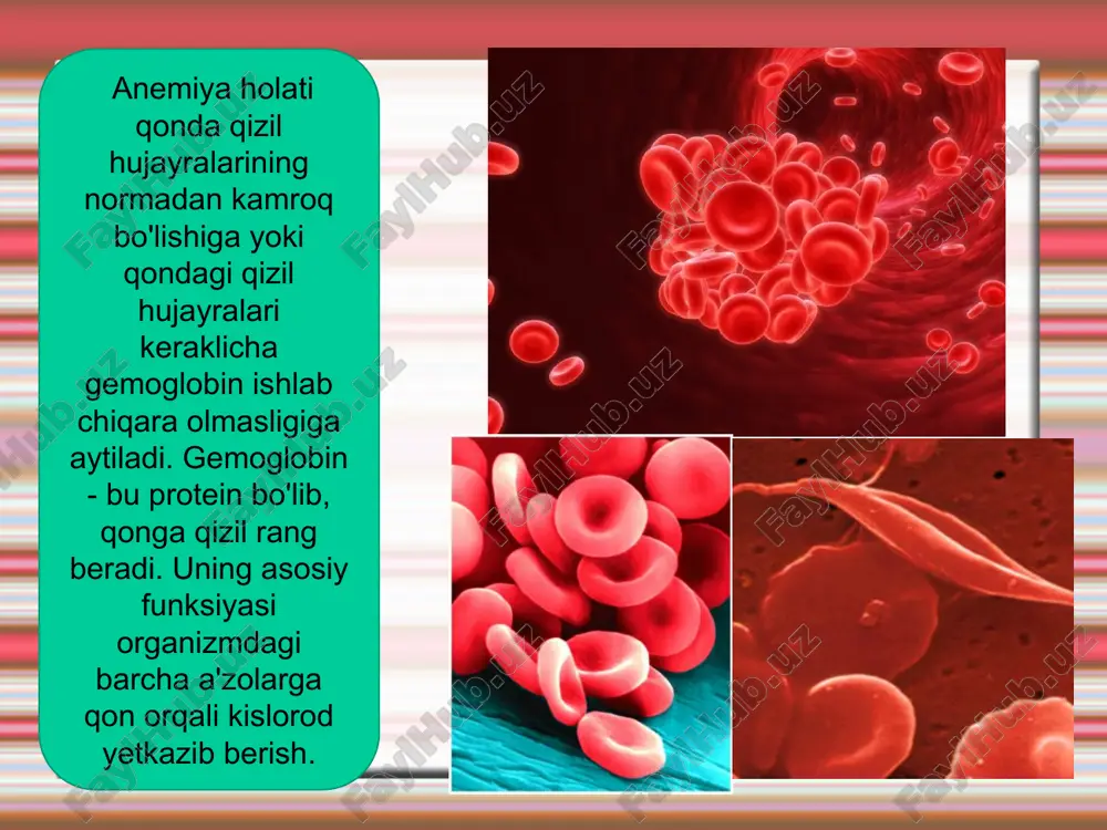 gaya chast vstraivaetsya v ferritin i ostaetsya v kletke. pri slushivanii kletki jelezo ferritina teryaetsya vmeste s ney. zaxvat jeleza proisxodit bistree, chem ego perenos iz kletki. v obichnix usloviyax kletki slizistoy absorbiruyut 12% jeleza, postupivshego s pishey, a transportiruyut lish 3.6% postupivshego s pishey jeleza. sutochnaya potrebnost v jeleze u jenshin do, v techenie i posle beremennosti ayollarda xomilador bulguncha, xomiladorlik davri va undan keyin temirga extiyoj temirga extiyoj (mg/sut) gacha 1 trimestr2 trim. 3trim. tugrukdan sung menstruatsiya eritrotsitlar laktatsiya menstruatsiya temir yukotilishi xomila xomiladorlik normal kechishi uchun urtacha 1000 mg temir sarflanadi. 0 7 6 5 4 3 2 1 vo vremya beremennosti znachitelnoe snijenie zapasov jeleza mojet vozniknut bolee, chem u polovini jenshin, kotorie ranee ne stradali anemiey. potrebnosti beremennoy jenshini v jeleze skladivayutsya iz sobstvenno potrebnostey jenshini (240 mg), zatrat, vizvannix uvelicheniem chisla eritrotsitov (500 mg jeleza), a takje potrebnostey ploda i platsenti (300 mg), v …