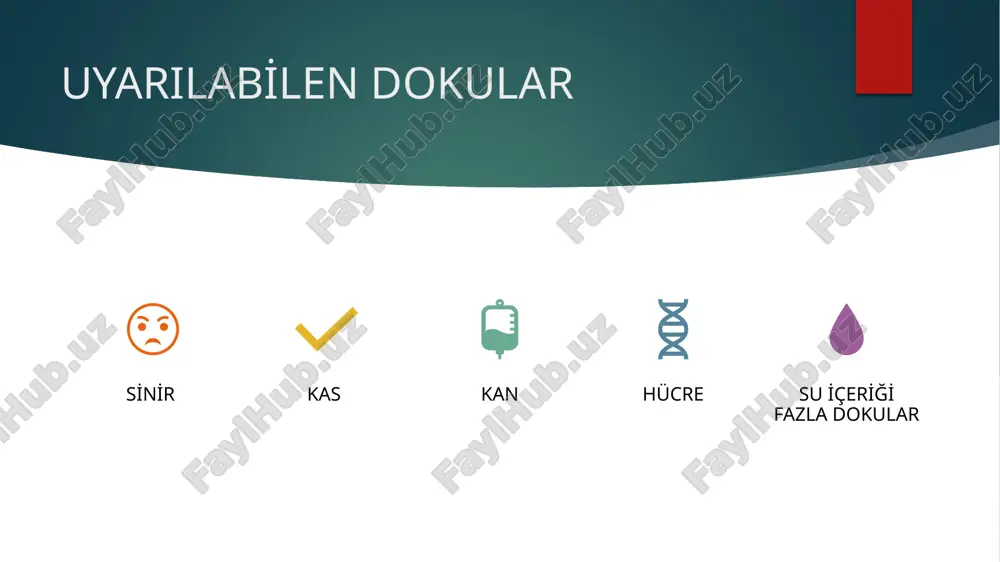 motor noktalardan stimülasyon almak amaçlı motor noktadan uygulanır. kasta kontraksiyon gözlenir. 1 seansta maximum 90 kontraksiyon alınmalıdır. 30-30-30 şeklinde ya da 45-45 aralıklarda. bi̇polar tekni̇k i̇ki̇ plak elektrot : grup stimülasyonu istendiğinde ya da büyük kaslara uygulama yaıldığında kullanılır. origo ve insersiyoya plak elektrotlarla uygulanır. kasın başlangıç noktasına (+) bitim noktasına (–) elektrot yerleştirilir. 200 kontraksiyon alınır. uygulama toplam 20 dk (10 dk uyarı- 5 dk dinlenim-5dk uyarı). i̇ki̇ kalem elektrot : derin kaslarda motor nokta stimülasyonu şeklinde uygulanır. endi̇kasyonlari denerve kaslarin tedavi̇si̇nde kas tonusunu artirmak gereken durumlarda dolaşim bozukluklarinda düz akımın modifiye şekilleri kullanılabilir. uygulama sırasında tedavi bölgesinde metal bulunmaması hastaya tedavinin açıklanması tedavi bölgesine uygun tekniğin seçilmesi gerekir. image6.jpeg image17.png image2.png image3.png image4.png image5.png /docprops/thumbnail.jpeg