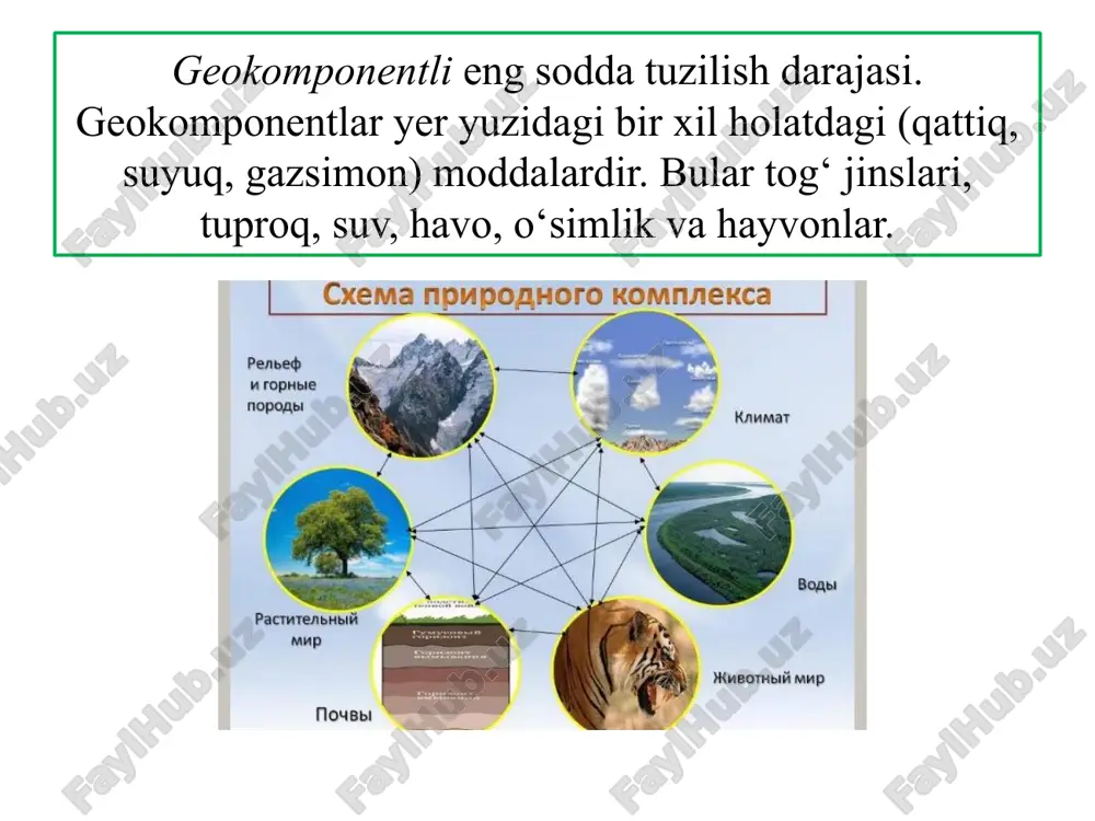 osh sistemasining galaktika markazi atrofi da aylanishi bilan bog‘liq va 180–220 mln yilni o‘z ichiga oladi. bu davrda tektonik harakatlar, vulqon otilishlari faollashadi, materiklarning qiyofasi, iqlim, oxir oqibatda yer tabiati o‘zgarishini keltirib chiqaradi. ko‘p asrlik ritmik hodisalardan 1800–2000 yil davom etadigan ritmiklik yaxshi o‘rganilgan. bu hodisa yerda qalqish hodisasini hosil qiluvchi kuchlarning o‘zgarishi bilan bog‘liq. taxminan, 1800-yilda bir marta quyosh, oy va yer bitta tekislik va bitta to‘g‘ri chiziqda joylashadi, quyosh bilan yer orasidagi masofa eng kichik bo‘ladi. bu hodisada 3 faza – transgressiv, regressiv, oraliq fazalari ajratiladi. asr ichidagi ritmik hodisalardan quyosh faolligi bilan bog‘liq bo‘lgan 11, 22 va 33 yillik siklliklar yaxshi o‘rganilgan. olimlarning fikricha, ushbu siklliklar bilan yerdagi ko‘p jarayonlar bog‘liq: epidemiyalarning tarqalishi, vulqon faolligining kuchayishi, siklonlar hosil bo‘lishining ortishi, qurg‘oqchiliklar yoki zararkunanda hasharotlarning (masalan, chigirtkalar) ko‘payishi va h.k. yillik (fasliy) ritmiklik yerning quyosh atrofi dagi harakati va aylanish o‘qining 66,5° qiyaligi bilan bog‘liq. yil fasllarining almashinishi …