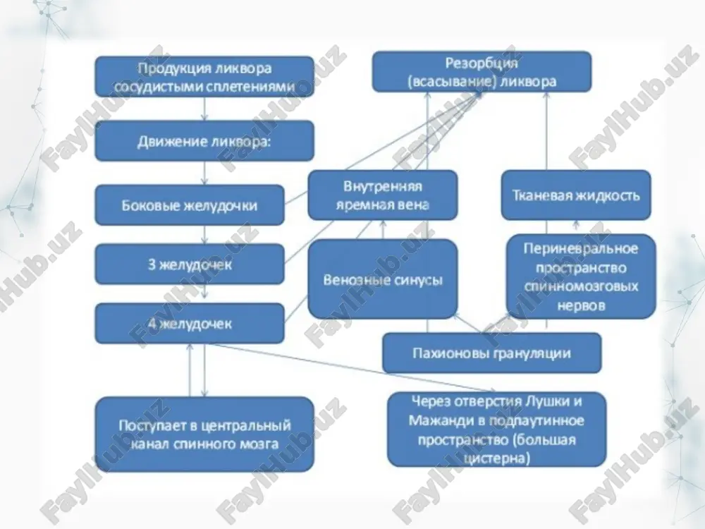 oblasti i na urovne mechevidnogo otrostka; sozdaetsya pnevmoperitoneum. iz prokola v pravoy podvzdoshnoy oblasti, pod kontrolem endovideolaparoskopa v bryushnuyu polost vvodyat dlinniy zajim. cherez prokol u osnovaniya mechevidnogo otrostka po napravitelyu vvodyat distalniy konets peritonealnogo katetera. posledniy zaxvativayut zajimom i ukladivayut na diafragmalnuyu poverxnost pravoy doli pecheni. proveryayut funktsionirovanie shunta putem prokachivaniya pompi klapana. endoskopicheskaya ventrikulostomiya klinicheskiy sluchay jenshina, 21 god, postupila s jalobami na sonlivost i sputannost soznaniya. za poslednie 5 mesyatsev ona otmechala postepennoe uxudshenie sostoyaniya: usilenie golovnix boley, toshnotu i rvotu. oftalmoskopiya pokazala bilateralniy otek diska zritelnogo nerva. kt i mrt viyavili supratentorialnuyu gidrotsefaliyu, vizvannuyu stenozom vodoprovoda mozga. sagittalnie snimki mrt, vipolnennie s kontrastnim veshestvom, pokazali ostruyu nedostatochnost dvijeniya jidkosti na urovne vodoprovoda mozga. patsientke bil postavlen diagnoz: idiopaticheskiy stenoz vodoprovoda, naibolee rasprostranenniy s sochetaniem obstruktivnoy gidrotsefaliey u vzroslix. pri endoskopicheskoy ventrikulotomii bilo vipolneno (ris.d) vskritie dna 3 jeludochka v subaraxnoidalnom prostranstve stvola golovnogo mozga. vse lechebnie …
