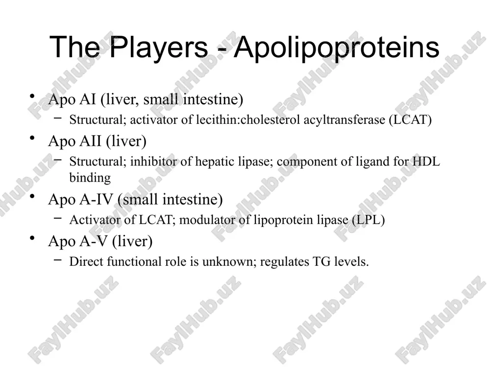 rrows represent lipid transfer processes, and red arrows represent protein transfer processes. tgrl indicates triglyceride-rich lipoproteins hepatic cholesterol metabolism hepatic cholesterol synthesis cholesterol and atherosaclerosis, grundy) rate limiting only pathway for cholesterol degradation energetically expensive; prefer to conserve what is already made/acquired – ldl receptor pathway ldl cellular metabolism cholesterol and atherosaclerosis, grundy) ldl are taken up by the ldl receptor into clathrin-coated pits endothelial dysfunction increased endothelial permeability to lipoproteins and plasma constituents mediated by no, pdgf, ag-ii, endothelin. up-regulation of leukocyte adhesion molecules (l-selectin, integrins, etc). up-regulation of endothelial adhesion molecules (e-selectin, p-selectin, icam-1, vcam-1). migration of leukocytes into artery wall mediated by oxldl, mcp-1, il-8, pdgf, m-csf. ross, nejm; 1999 formation of fatty streak smc migration stimulated by pdgf, fgf-2, tgf-b t-cell activation mediated by tnf-a, il-2, gm-csf. foam-cell formation mediated by oxldl, tnf-a, il-1,and m-csf. platelet adherence and aggregation stimulated by integrins, p-selectin, fibrin, txa2, and …