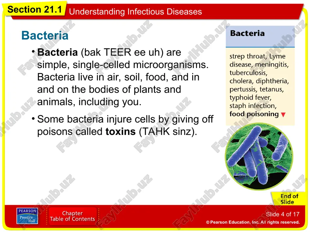 understanding infectious diseases - Page 4