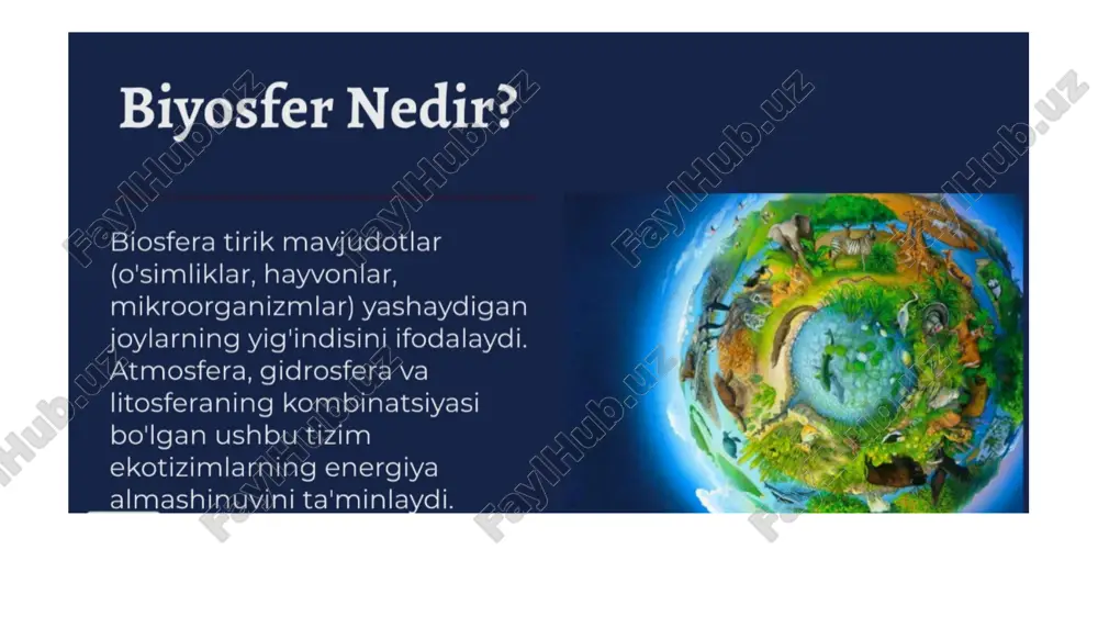 biosfera damodlari va energiya bioximikasi - Page 4