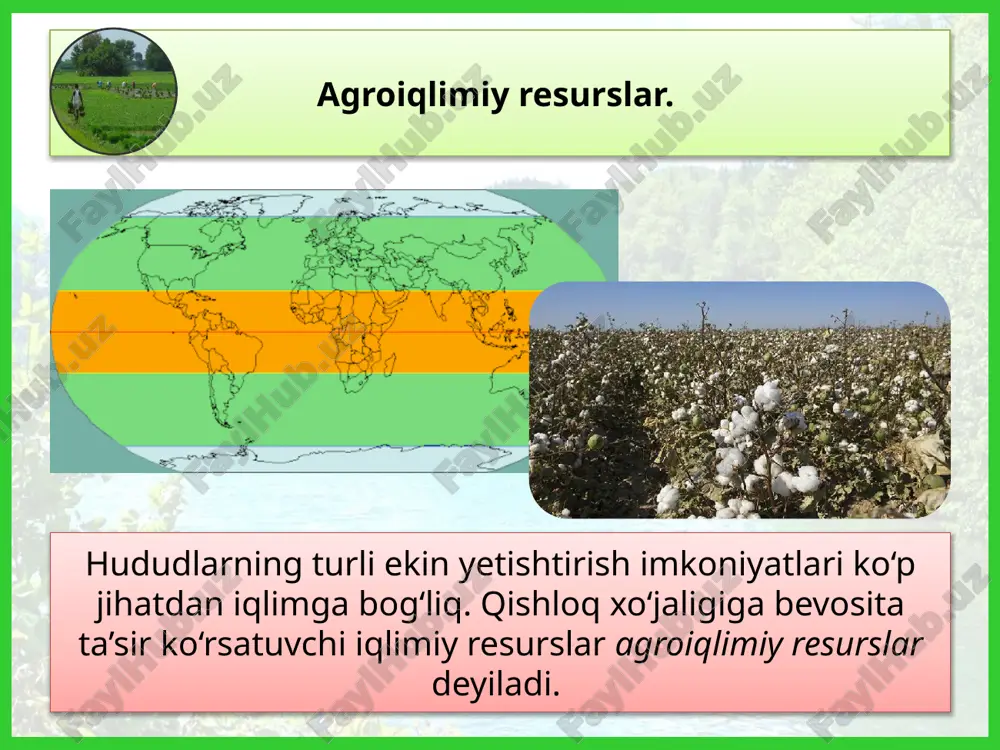 anma, indoneziya kabi mamlakatlar eng katta o‘rmonli maydonlarga ega. 1 2 3 4 7 5 8 6 biologik resurslarning yana bir muhim qismi suv havzalarning hayvonot va o‘simlik olamidir. ma’lumotlarga ko‘ra, dunyo aholisining oqsillarga bo‘lgan ehtiyojining 20% idan ko‘prog‘i dengiz hayvonlari va o‘simliklari hisobiga qoplanmoqda. ayniqsa, tinch okeanning shimoli-g‘arbiy va janubi-sharqiy qismlari, atlantika okeanining shimoliy dengizlari baliqlarga juda boy. 1 3 2 biroq okean va dengizlarda yashaydigan baliq va boshqa hayvonlar tobora muhofazaga muhtoj bo‘lib bormoqda. geotermal resurslar. yerning ichki energiyasi, ya’ni geotermal resurslar muhim noan’anaviy energiya manbalaridan biri hisoblanadi. geotermal energiyaga asosan tektonik harakatlar faol davom etayogan, iqlimi sernam bo‘lgan mintaqalar boydir. islandiya (9-rasm), yaponiya, yangi zelandiya, filippin, papua-yangi gvineya, italiya, meksika, aqsh, rossiya geotermal resurslarga boy. © foydalanilgan adabiyotlar: v. n. fedorko, n. i. safarova, j. a. ismatov, e. y. nazaraliyeva– geografiya (jahon iqtisodiy-ijtimoiy geografiyasi), umumiy o‘rta ta’lim maktablarining 10- sinf o‘quvchilari uchun darslik, respublika ta’lim markazi, 2022 …