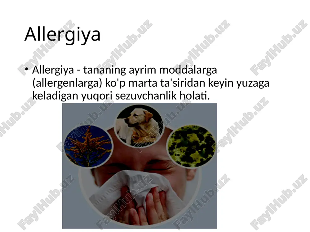 darajada engillashtiradi. maxsus immunoterapiya qanday amalga oshiriladi? sit faqat ushbu davolash usulini qo'llash tajribasiga ega bo'lgan allergist tomonidan amalga oshirilishi mumkin. terapevtik preparatlar sifatida tozalangan allergenlar, allergoidlar yoki boshqa o'zgartirilgan allergenlar qo'llaniladi. in'ektsiyalarning chastotasi haftasiga 2-3 marta kursning boshidan davolash kursining oxirida har 7-10 kunda 1 martagacha. allergen in'ektsiyalari eng nozik ignalar bilan teri ostiga o'tkaziladi, bu og'riqni yo'q qiladi. maxsus immunoterapiya qanday amalga oshiriladi? sit - bu juda uzoq muddatli davolash usuli (3 yildan 5 yilgacha davom etadi), ammo uni muvaffaqiyatli amalga oshirish dori-darmonlarga bo'lgan ehtiyojni sezilarli darajada kamaytirishga va, ehtimol, ko'p yillar davomida allergiya belgilari yoki astma xurujlarini to'liq to'xtatishga olib kelishi mumkin! 3 yillik davolanish kursi tugaganidan keyin 20 yil ichida kasallikning remissiya ehtimoli ba'zi olimlar tomonidan 70% ga baholanadi. maxsus immunoterapiyaning ta'siri nafas olish allergiyasi (antigistaminlar, bronxodilatatorlar va boshqalar) bo'lsa, simptomatik dori-darmonlarni va shoshilinch dori-darmonlarni qo'llash chastotasi kamayadi. bronxial astma va allergik rinit uchun asosiy terapiya …