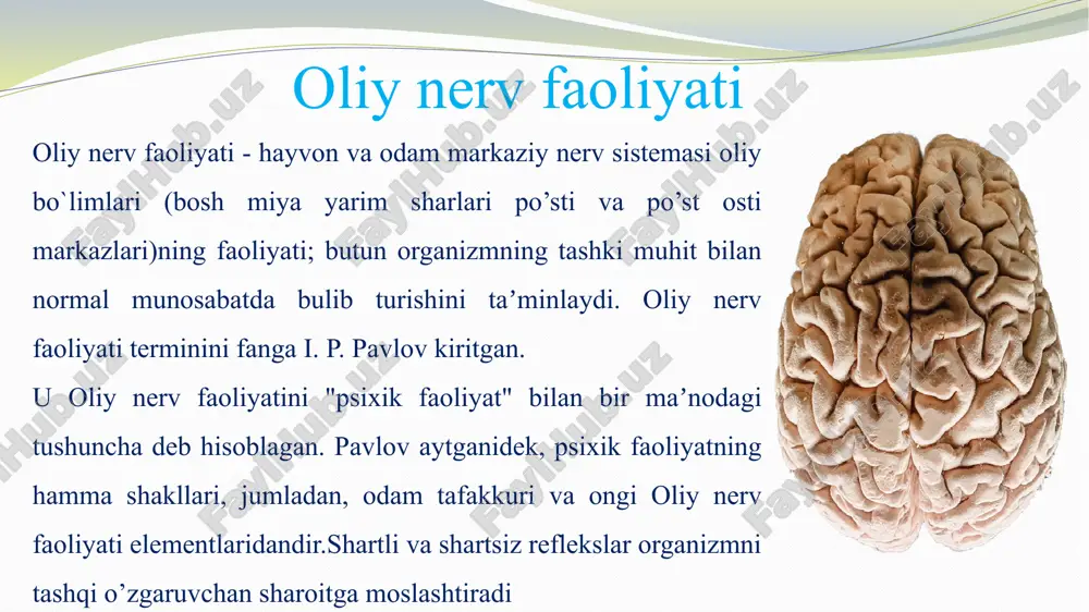 sini 3 asosiy xususiyatga: qoʻzgʻalish va tormozlanish kuchi, bu jarayonlarning muvozanati va ularning ildamlik darajasiga qarab bir-biridan farq qilishini aniqladi. sariq safro ("safro, zahar") ko'payib ketishi odamni impulsiv, "issiq" - xolerik qiladi; limfa ustunligi ("balg'am") odamni tinchlantiradi va sekin - flegmatik qiladi; qonning ustunligi ("qon") odamni harakatchan va quvnoq qiladi - sangin odam; qora safro ("qora safro") ustunligi odamni xafa va qo'rqinchli qiladi - ohangdor odam. oliy nerv faoliyatining tipologik ko`rsatkichlari sifatida hammadan avval shartli reflekslarning hosil bo`lish tezligi hisoblanadi. bu xususiyat bir turdagi turli hayvonlarda turli xildir. oliy nerv faoliyatining individual xususiyatining barcha ko`rsatkichi bo`lib shartli refleksii balandligi hisoblanadi. oliy nerv faoliyati tipining birinchi ko`rsatkichi bo`lib, qo`zg`olish va tormozlanish jarayonlaridagi irradiatsiya va kontsentratsiya (induktsiya)ning tezligi hisoblanadi. oliy nerv faoliyati tipining oxirgi ko`rsatkichi bo`lib, hayvonni turli ta`sirotlarga katta yoki kichik beriluvchanliga hisoblanadi. nerv sistemaning bu ko`rsatkichi nerv sistemani turli patologik xolatlarga olib kelishi mumkin. bu to`rtta tipdan i.p. pavlov uchtasini …