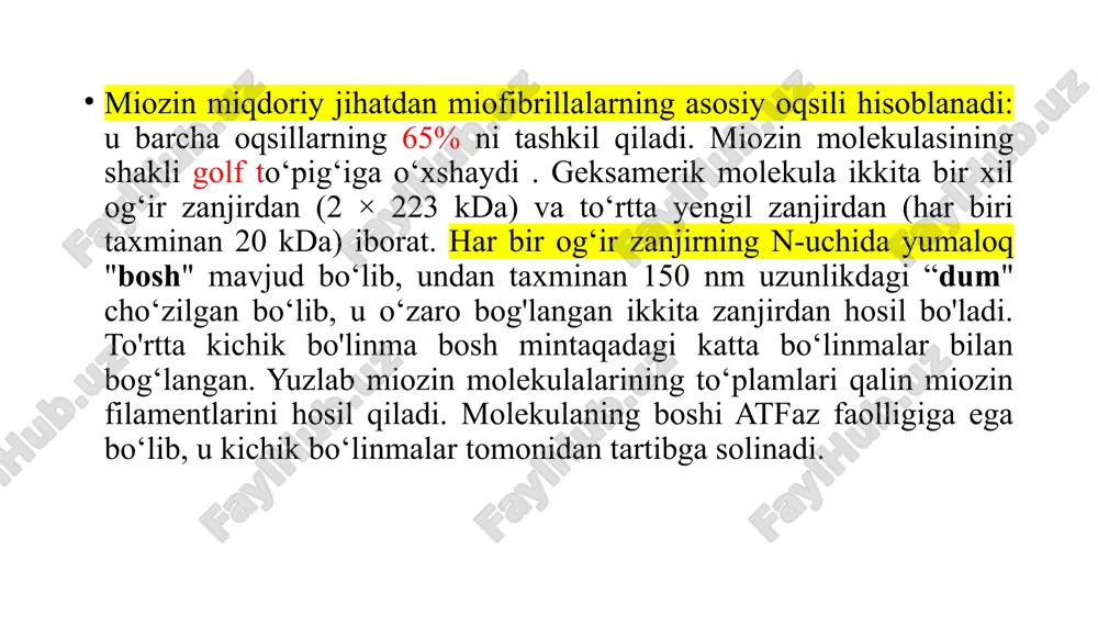 ikkinchi darajali ko'rinishi bo'lib, shikastlangan tolaning avtolizi yoki shishishi tufayli bo'lishi mumkin. ko'rinib turibdiki, laktat shakllanishi bu jarayonda hech qanday rol o'ynamaydi. mushaklardagi og'riqlar odatda qisqa muddatli bo'lib, mushaklardagi massaj va engil jismoniy faoliyat yordamida oqibatlarsiz bartaraf etilishi mumkin. bunday holatlar uchun samarali dori-darmon yo'q. mushak hujayralaridagi energiya manbalari skelet va silliq mushak hujayralari uchun asosiy energiya manbai glyukoza, yog‘ kislotalari va tarmoqlangan zanjirli aminokislotalardir. boshqa mushaklardan farqli o‘laroq, yurak mushagi doimiy ishlaydi va kerakli atf ni deyarli faqat qondan yog‘ kislotalarining oksidlanishi orqali oladi. glyukoza faqat qondagi miqdori yuqori bo'lganda va glut-4 ishtirokida glyukozaning kardiomiositlarga o‘tkazilishini insulin bilan rag‘batlantirish yo‘li bilan amalga oshiriladi. skelet mushaklarining dam olishida qizil tolalar energiya ishlab chiqarish uchun birinchi navbatda yog‘ kislotalaridan foydalanadi. bu jarayonda glyukoza va tarmoqlangan zanjirli aminokislotalar asosan glikogenga aylanadi. kuchli ish paytida skelet mushaklari o'zlarining glikogen zahiralaridan foydalanadilar (ishning birinchi daqiqasidayoq) va keyin kislorod miqdori yana ko‘payguncha va oksidlovchi metabolizmga …