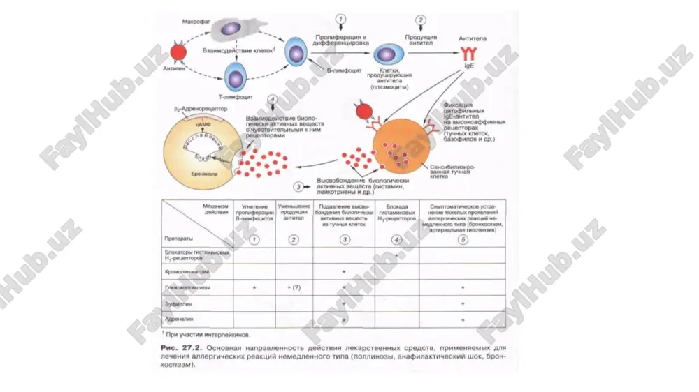 allergiyaga karshi vositalar - Page 4