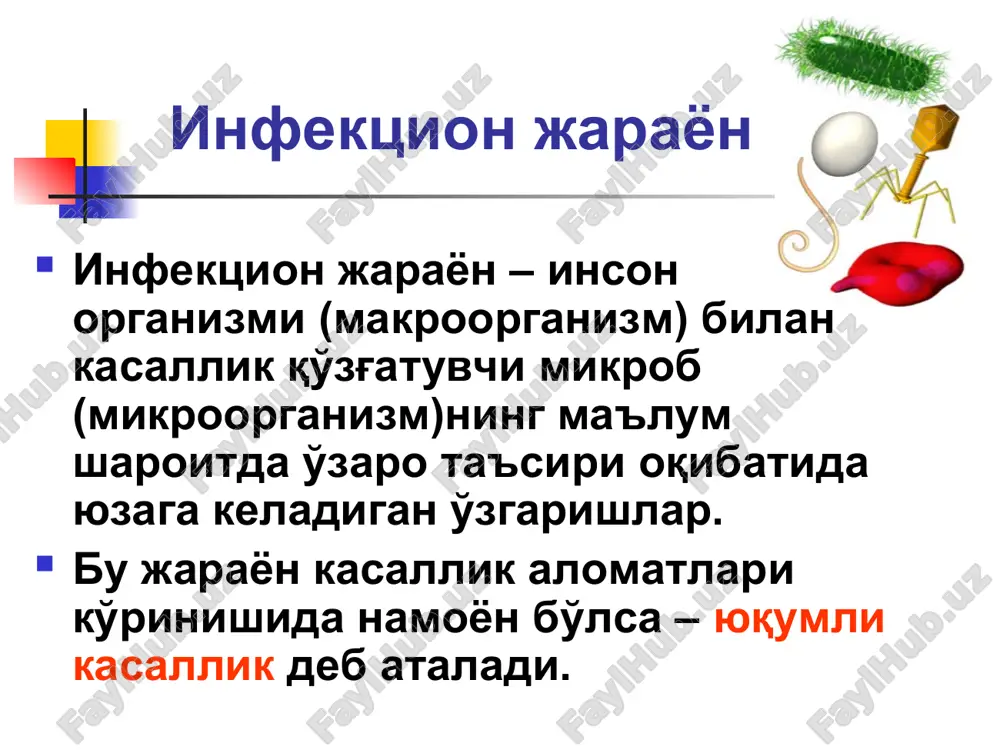 deyiladi. teri va shillik kavatlardagi uzgarishlar teri rangining uzgarishi (rangparlik, tsianoz, sariklik, giperemiya) teri turgorining uzgarishi namligining uzgarishi (kup terlash) toshmalarning paydo bulishi (ekzantema, enantema) ekzantema xarakteri (dog, papula, rozeola, pustula, vezikula, pufak va boshkalar) paydo bulish muddati toshma kema-ketligi (etapliligi) kuprok joylashadigan soxalar (lokalizatsiya) toshma elementlari soni toshma elementlarining rivojlanish dinamikasi ba'zi transmissiv infektsiyalarda (tulyaremiya, borrelioz va boshkalar) kuzgatuvchi teriga kirgan soxada birlamchi affekt, ya'ni teri koplamlari soxasidagi yalliglanish, kasallikning boshka klinik belgilari bilan kechadi limfoadenopatiya regionar tarkalgan (generalizatsiyalangan) ulat, tulyaremiya, felinoz, difteriya, angina vich-infektsiya, brutsellez, infektsion mononukleoz, xlamidioz poliartrit periartrit monoartrit bugimlarning zararlanishi kataral-respirator sindrom rinit angina bronxit bronxiolit pnevmoniya diareya (ich ketishi) enteritik kolitik axlat tez-tez, kup, suyuk, suvsimon, xazm balmagan ovkat koldiklari bilan, sassik xidli, yashil yoki och sarik rangda bulishi axlat butkasimon yoki yarim suyuk konsistentsiyada, jigar rangdagi, axlat massalarining xajmi kamayishga moyil. axlatda patologik kushilmalar (yiring, shillik va boshkalar). tenezmlar, yolgon chakiriklar xos. gepatolienal …