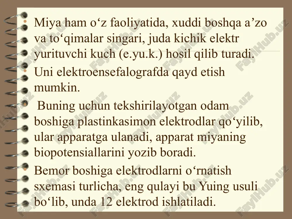 elektroensefalografiya - Page 4