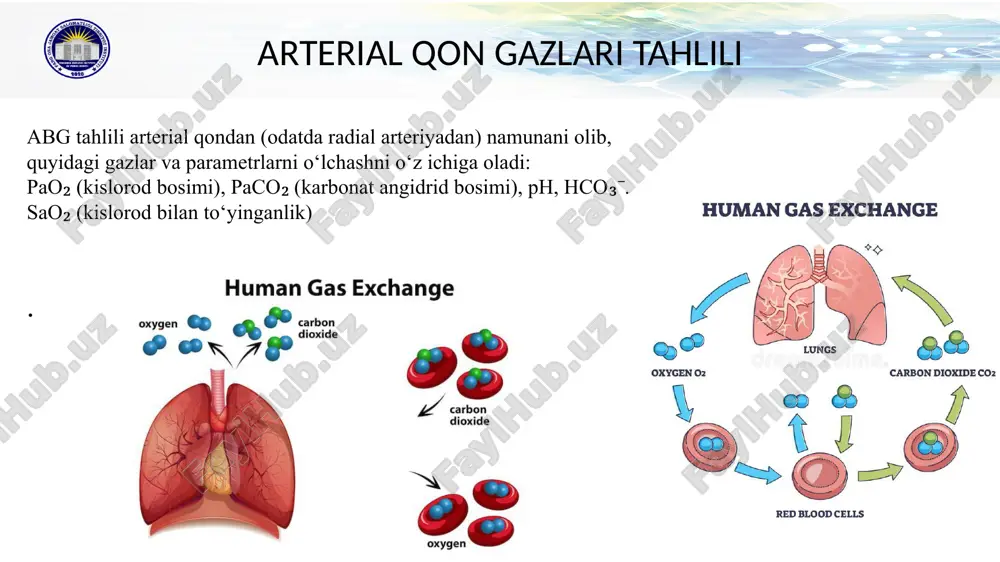 tahlili (abg) juda aniq bo‘lsa-da, u invaziv, og‘riqli va vaqt talab qiladigan usul hisoblanadi. shu sababli, so‘nggi yillarda qon gazlarini aniqlashning non-invaziv va tezkor usullari keng ommalashmoqda. transkutan monitoring (tcpo₂, tcpco₂) teri orqali kislorod va karbonat angidridning parchalanuvchi miqdorini aniqlaydi. bu usul asosan yangi tug‘ilganlar va reanimatsiyadagi og‘ir holatdagi bemorlarda qo‘llaniladi. u doimiy kuzatuvni ta’minlab, invaziv qon olish ehtiyojini kamaytiradi. ayniqsa, neonatal intensiv terapiyada bu usul gipoksik-ischemik holatlarni erta aniqlashga xizmat qiladi. kapnografiya (etco₂) esa bemorning nafas chiqarishidagi oxirgi karbonat angidrid miqdorini aniqlaydi. bu usul reanimatsiyada yurak urishi tiklanganligini (rosc) baholashda, bemor sun’iy ventilyatsiyada bo‘lgan holatlarda esa ventilyatsiya samaradorligini aniqlashda qo‘llaniladi. etco₂ monitoringi orqali gipoventilatsiya, nafas yo‘llarining to‘silishi kabi holatlar darhol aniqlanadi. yana bir zamonaviy usul – yaqin infraqizil spektroskopiya (nirs) orqali to‘qimalardagi kislorod darajasi (rso₂) aniqlanadi. bu, ayniqsa, miya, yurak va buyrak perfuziyasini kuzatishda juda foydalidir. neonatologiyada bu usul orqali chaqaloqlarning miya perfuziyasi va kislorod bilan ta’minlanish holati kuzatiladi, …