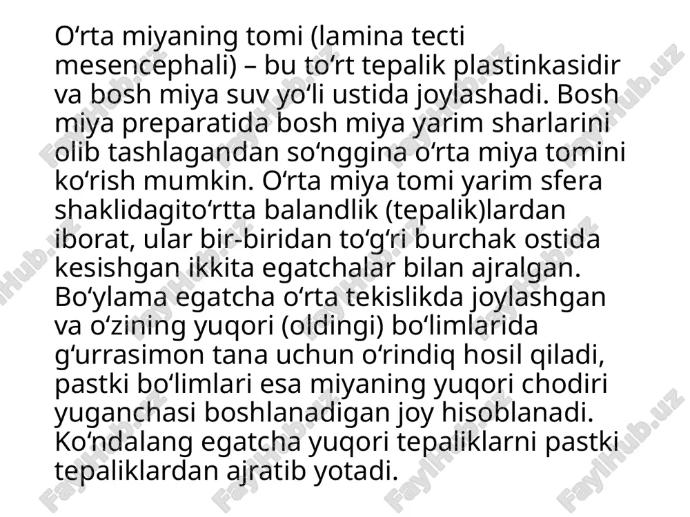 lar (fibrae corticonucleares) bor; 2) po‘stloq-miya ko‘prigi o‘tkazuv yo‘li (tractus corticopontinus) – uning tarkibida po‘stloqning peshona bo‘lagi va ko‘prik orasidagi tolalar (fibrae frontopontinae), po‘stloqning ensa bo‘lagi bilan ko‘prik orasidagi tolalar (fibrae occipitopontinae), po‘stloqning tepa bo‘lagi va ko‘prik orasidagi tolalar (fibrae parietopontinae), po‘stloqning chakka bo‘lagi va ko‘prik orasidagi tolalar (fibrae temporopontinae) bo‘ladi. 3) po‘stloq va to‘rsimon formatsiya orasidagi tolalar (fibrae corticoreticulares). o‘rta miyada ko‘z olmasining ixtiyoriy va ixtiyorsiz mushaklari innervatsiyasini ta’minlab beradigan kalla (iii va iv juft) nervlario‘zaklari, shuningdek v juft nervning o‘rta miya o‘zagi joylashgan.o‘rta miyaning suv yo‘li (silviy suv yo‘li) – uzunligi taxminan 1,5 sm bo‘lgan tor kanal, iii qorinchani iv qorincha bilan bog‘laydi va orqa miya suyuqligini tutadi. kelib chiqishi bo‘yicha o‘rta miyaning suv yo‘li o‘rta miya chodiri bo‘shlig‘ining hosilasi hisoblanadi. o‘rta miyaning suv yo‘li atrofida markaziy kul rang modda o‘rin olgan, unda, suv yo‘li tubi sohasida ikkita juft kalla nervlari joylashgan. yuqori tepaliklar sathida, o‘rta miyaning suv …