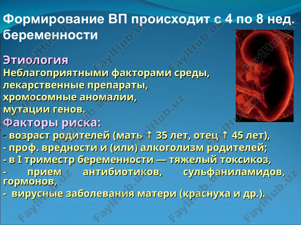 koe drojanie. pri auskultatsii vislushivaetsya prodoljitelniy sist.shum nad vsey serdechnoy oblastyu. inogda na verxushke korotkiy diast. shum napolneniya levogo jeludochka. nad la - protodiastolicheskiy shum (shum greema-stila). ii ton na la usilen i rassheplen. perkutorno granitsi serdtsa smesheni v obe storoni, bolshe vlevo. dmjp rg issledovanie viyavlyaet: usilenie sosudistogo risunka legkix. razmeri serdtsa mogut bit uvelicheni, s preobladaniem levix otdelov oboix jeludochkov ili tolko pravogo. la chashe ↑, aorta v vosxodyashem otdele gipoplazirovana. ekg: peregruzka i gipertrofiya levogo jeludochka, oboix ili pravogo jeludochka. dmjp u 25 – 60% malie defekti zakrivayutsya k 1 – 4 godam jizni (do 23%) pri znachitelnix defektax do 50% umiraet do 1 goda (iz nix ¾ do 6 mes.) optimalniy srok dlya operativnogo vmeshatelstva 3 – 5 let otkritiy atrioventrikulyarniy kanal (10-30%) narushaetsya razvitie nijnego otdela mejpredserdnoy peregorodki, membranoznoy chasti mejjeludochkovoy peregorodki i medialnix stvorok mitralnogo i/ili trikuspidogo klapanov oavk auskultat. - 2 epitsentra sist. …