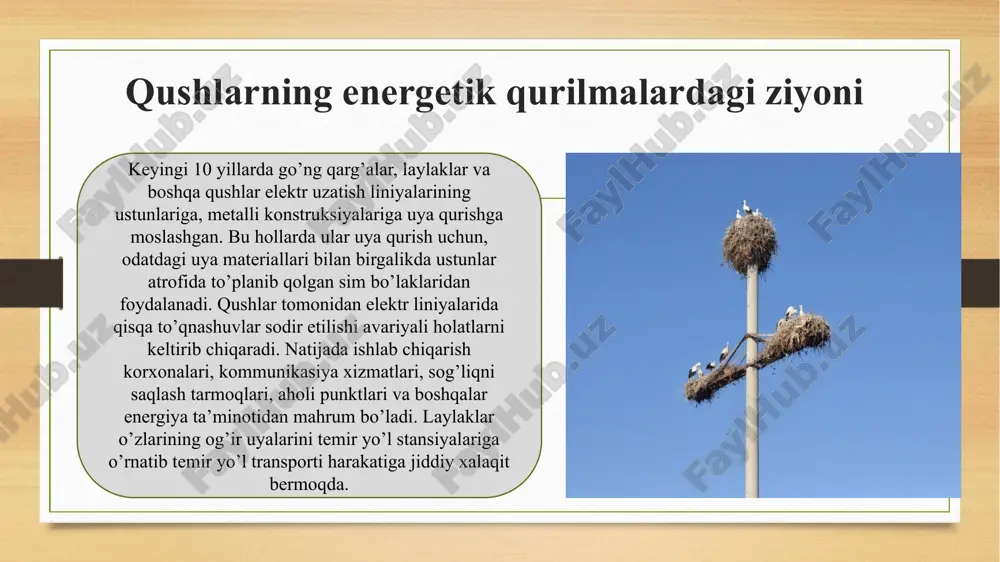 muhim nazariy va katta amaliy ahamiyatga egadir. 2750 yillik tarixga ega bo’lgan samarqand shahri me’morchilik yodgorliklari, maqbaralari bilan qushlarning ekologik aloqalarini, biologiyasi, ekologiyasi va ularning ahamiyatini samarqand davlat universiteti olimlari o’rgangan. qushlarning soni ayniqsa registon maydonidagi tillakori, ulug’bek va sherdor madrasalari va go’ri-amir maqbarasida yuqoriligi aniqlandi. registon maydonida qishda jami - 3558, bahorda - 2050, yozda - 2070, kuzda - 3548, go’ri-amir maqbarasida qishda - 3380, bahorda - 1848, yozda - 1833, kuzda – 3212 qush borligi kunlik hisoblar asosida aniqlandi. qushlar uchun tarixiy yodgorliklar qulay uya qo’yish, dam olish va tunash joylari bo’lib hisoblanadi. kaptarsimonlar va chumchuqsimonlar turkumlari vakillarining axlatlari bilan obidalar gumbazlarida, peshtoqlarga har-xil g’allasimon va boshqa o’simliklarni urug’lari tushib va o’sishi tufayli, shuningdek axlatlari bilan me’morchilik yodgorliklarini zararlanishlariga sabab bo’lmoqda transport vositalarining zararlanishi o’tgan asr boshlarida samolyotlar bilan qushlarning birinchi to’qnashuvlari ro’yxatga olingan edi, ba’zan bu to’qnashuvlar jiddiy avariyalarni keltirib chiqaradi (1912 yilda aqsh da samolyot bilan …