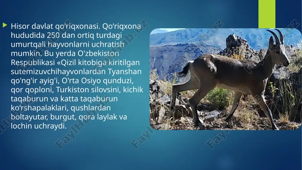 qo'riqxonalarni o'rganish uchun taqrizlar - Page 4