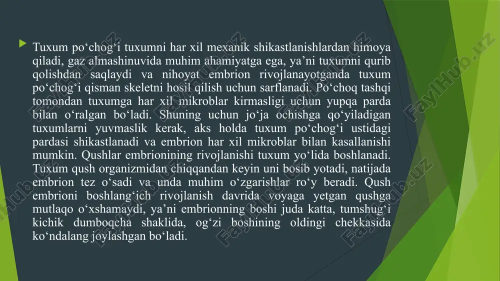 - afrka tuyaqushi (struthio camelus) kiradi. voyaga yetgan tuyaqushning bo‘yi 270 sm, og‘irligi 50-90 kg.ga boradi. ko‘krak tojsiz qushlar: 1-kazuar , 2-emu, 3-nandu, 4-kivi, 5-afrika tuyaqushi, 6-moa. qov suyaklari qo‘shilib ketgan va chanog‘i yopiq bo‘lishi bilan xarakterlanadi. hozirgi yashab turgan qushlar orasida eng yirigi hisoblanadi. qanotlari katta, tez yugurganda ularni tushirib yuradi. erkagining rangi qora, urg‘ochisiniki kulrang, dumida va qanotidagi patlar ikkala jinsda ham oq rangda bo‘ladi. u afrika va arabistonning cho‘l-dashtlarida uchraydi. uchlamchi davrda bu qushlarga yaqin bo‘lgan turlari kichik osiyo, mo‘g‘iliston va xitoyda tarqalgan. mdhda, esa ukraina, shimoliy qozog‘iston, sharqiy kavkazdan hamda boyko‘lortidan ham qazilma qoldiqlari topilgan. tuyaqushlar gala bo‘lib yashaydi. lekin, monogam qush, tuxum bosishda, jo‘ja boqishda erkak va urg‘ochi tuyaqushlar ishtirok etadi. uyasini erkaklari quradi. bir necha urg‘ochilari bir uyaga 7-9 tadan tuxum qo‘yadi. natijada uyada 15-20 ta, ba’zan 50-60 ta tuxum bo‘ladi. har bir tuxumning og‘irligi 1,4-1,5 kg. keladi. inkubatsiya davri 6 haftagacha davom etadi. …
