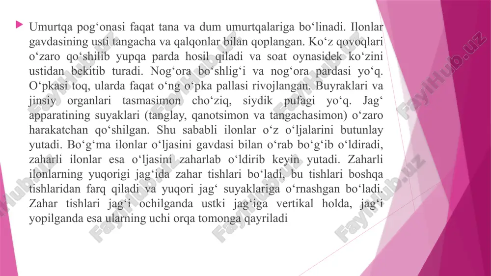 ning 13 ta turi uchraydi. suv ilonlari oilasi orasda quruqlikda, daraxtda va yer ostida yashaydigan turlari ham bor suv ilonlari oilasi vakillari: 1-chuvalchangsimon ko‘rilon, 2-qumilon, 3-ko‘ndalang yo‘lli bo‘ritish ilon, 4-o‘q ilon, 5-afg‘on litorinxi, 6-boyga, 7-rang-barang chipor ilon (oq ilon), 8-naqshdor o‘rmalovchi chipor ilon. silliq suv iloni suv ilonlarning uzunligi 10-15 sm dan 3,5 m gacha boradiganlari bor. suv ilonlari oilasiga suvilon (natrix tesselata), silliq suv iloni, ya’ni medyanka (coronella austriaca) va chipor ilonlar (elaphe, coluber) urug‘lari kiradi. suv ilonlarda chanoq kamari va orqa oyoq qoldiqlari bo‘lmaydi. qorin tomoni bir qator bo‘lib o‘rnashgan serbar tangachalar bilan qoplangan. suv ilonlar oilasi vakillari kosmopolit hisoblanadi. ular antarktidadan tashqari yer yuzining barcha qi’talarida keng tarqalgan. suv ilonlar asosan qushlar tuxumi, hasharotlar, o‘rgimchaksimonlar, chuvalchanglar, turli mayda baliqlar, baqalar, kaltakesaklar va mayda kemiruvchilar bilan oziqlanadi. suv ilonlarning ko‘pchiligi tuxum qo‘yib ko‘payadi, medyanka esa tuxumdan tirik tug‘adi. suviloni o‘rta osiyoda keng tarqalgan, o‘zbekistonning hamma suv havzalarida yashaydi. …