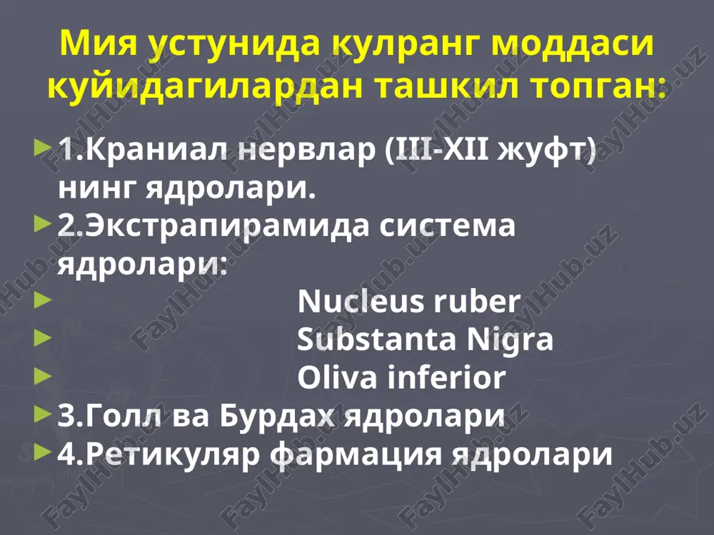 smi zararlanganda sezgi yuzning lateral kismida buziladi. valle nuktalari uch shoxli nerv zararlanishida (nevralgiyalarda) nerv shoxlari chikish nuktalari ogrikli buladi vii-yuz nervi mimik mushaklarni innervatsiya kiladi asosiy tarmoklari: chakka tarmogi yanok tarmogi lunj tarmogi pastki jag tarmogi buyin tarmogi orka kulok tarmogi yuz nervi zararlanishi zararlangan tomonda mimik mushaklarda periferik falaj rivojlanadi : yuz assimmetriyasi zararlangan tomonda yuz nikobsimon burun-lab va peshona burmalari yassislanishi bella va kiprik simptomlari korneal va kon'yuktival reflekslar yukolishi yuz nervi zararlanishi varoliy kuprikda patologik uchok bulganda- alternirlashgan miyyar-gubler sindromi (zararlangan tomonda yuz nervi periferik falaji va karama-karshi tomonda markaziy gemiparez) kuprik-miyacha burchagida zaralanish uchogi bulsa-yuz nervi bilan birgalikda v, vi va viii nervlar xam zararlanadi. pontin alternirlashgan sindromlar daxliz-chig'anoq (vestibulocochlear) nervi chig'anoq (eshituv) –yadrolari miya ustunida joylashgan: n. cochlearis dorsalis va n. cochlearis ventralis daxliz (vestibulyar) –yadrolari miya ustunida joylashgan: deyters, bexterev, roller, shvalbe yadrolari. chig'anoq (eshituv) kismi zararlanganda eshitish qobiliyati pasayadi yoki yýqoladi (gipokuziya, …