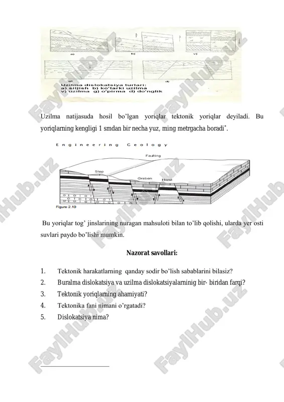 seysmik hodisalar va tektonika - Page 4