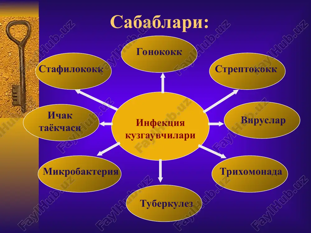 n, zovirans, atsiklovir, bonafton, viferon. immunomodulyatorlar beriladi: neovir, tsiklo- feron, t- aktivin. bu preparatlar organizmda xususiy virusga karshi interferon ishlab chikishga yordam beradi. rektal shamcha viferon xam buyuriladi. vitaminlar: v guruxdagi, s, allergiyaga karshi dori vositalari, gerpesga karshi vaktsinalar buyuriladi. papillomovirusli infektsiya bu infektsiya juda kadimdan ma'lum bulib «kandiloma» lar deb atalgan. pvi jinsiy va tashki muxitdan yukishi mumkin. simptomlari: inkubatsion davri 1 oydan 9 oygacha. tashki jinsiy a'zolar, kin, bachadon buynida joylashgan bulib, ochik pushti rangli, ingichka oyogida turadigan gugurt boshchasidek kattalikdagi kandilomalar kurinishida paydo buladi, bir-biriga kushilib «gul karam» kurinishida bulishi mumkin. simptomlari: boshlanish davrlarida shikoyat kilmaydi. kattalashgan sayin kichishish, achishish, agar shilinsa badbuy xidli ajralma keladi. davolash: kondilin, epigen-intima, solko-deril, maxalliy beriladi. zamonaviy usullar: kandiloma kriodestruktsiyasi lazer bilan olib tashlash elektrokoagulyatsiya kilish olib tashlashdan oldin virusga karshi malxamlar (interferon saklovchi) beriladi. masalan: viferol va usimlik immunomodulya-torlari: exikatsiya, koshachiy kogot, supershild beriladi. onkologik xavfini oldini olish uchun: virusga …
