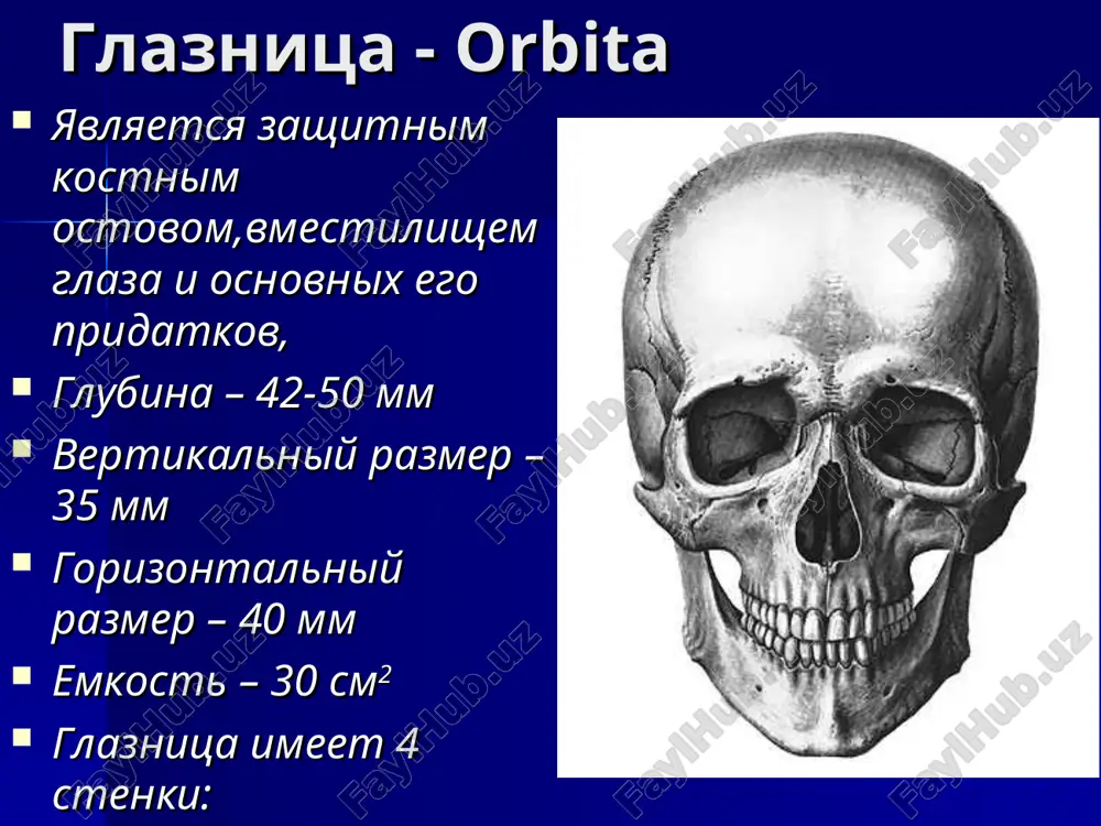 i0; 3 - mishtsa gordetsov (m. procerus); 4 -zatilochno-lobnaya mishtsa (lobnoe bryushko) (venter frontalis); svyazka vek. vnutrenyaya svyazka prikreplyaetsya: k perednemu sleznomu grebeshku k nadkostnitse i kosti bokovoy stenki nosa k zadnemu sleznomu grebeshku narujnaya svyazka prikreplyaetsya: k nadkostnitse k orbitalnomu bugorku slujit dlya uderjaniya xryashey vek v tesnom kontakte s glaz­nim yablokom. kon'yunktiva. eto epitelialniy pokrov vnutrenney poverxnosti vek i perednego otdela glaznogo yabloka. otdeli kon'yunktivi. kon'yunktivalniy meshok-vmestimost pri somknutix vekax do dvux kapel jidkosti. kon'yunktiva vek-plotno srashena s podlejashim xryashom. kon'yunktiva glaznogo yabloka ili skleri-soedinena s podlejashimi tkanyami rixlo ,chto obespechivaet ey podvijnost. kon'yunktiva perexodnix skladok, ili svod. rudimenti tretego veka. fiziologicheskie funktsii kon'yunktivi zashitnaya mexanicheskaya vsasivatelnaya troficheskaya barernaya uvlajnyayushaya slezniy apparat glaza sleznie organi razdelyayutsya na slezoprodutsiruyushie i slezootvodyashie k slezoprodutsiruyushim organam otnosyatsya: sobstvenno sleznaya jeleza i dobavochnie sleznie jelezi k slezootvodyashey chasti otnosyatsya: sleznie tochki, sleznie kanaltsi, sleznoy meshok i slezno-nosovoy kanal topografiya sleznix organov 1 …