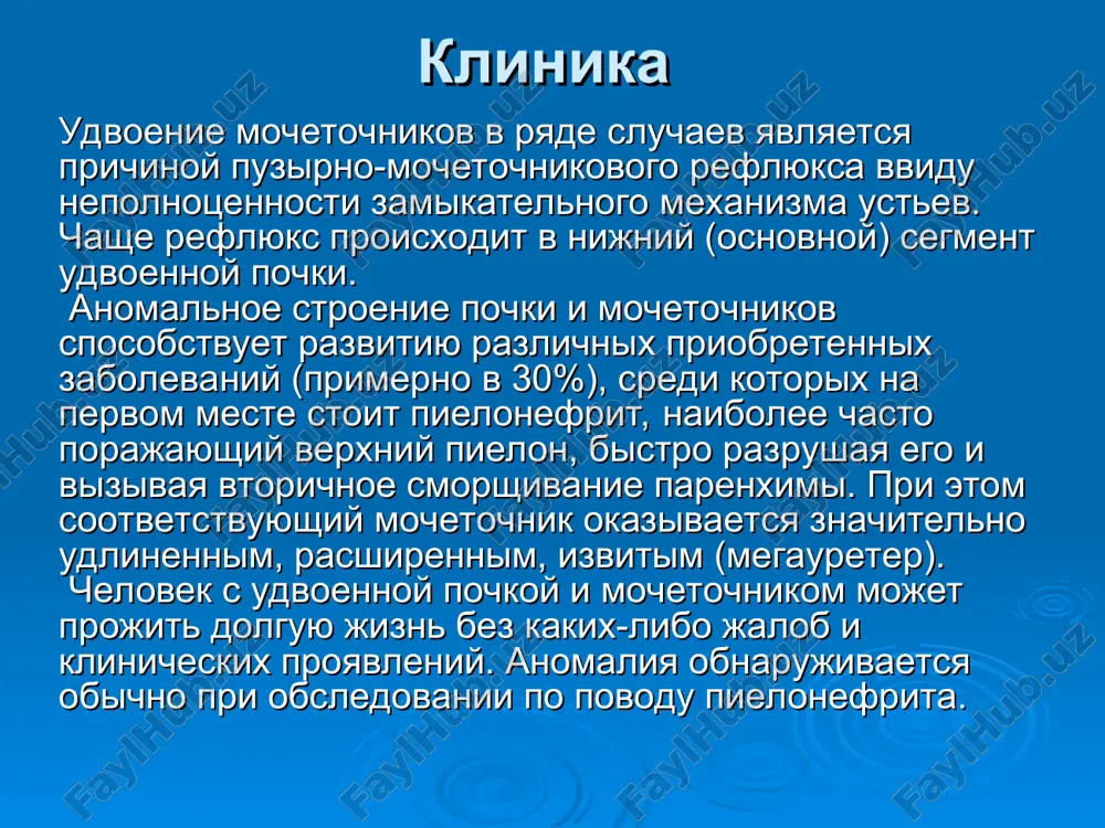 anomalii mochetochnikov - Page 4