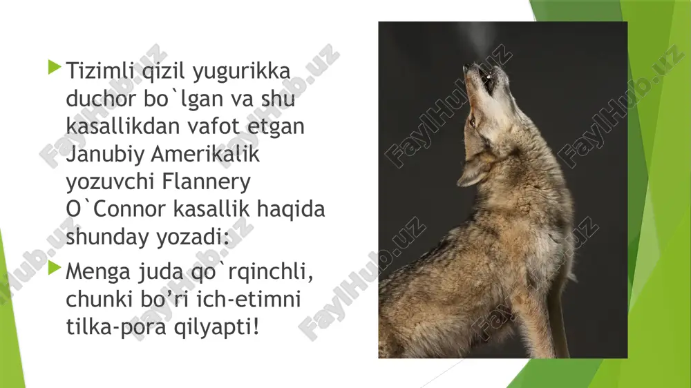 tizimliqizilyugurik - Page 4