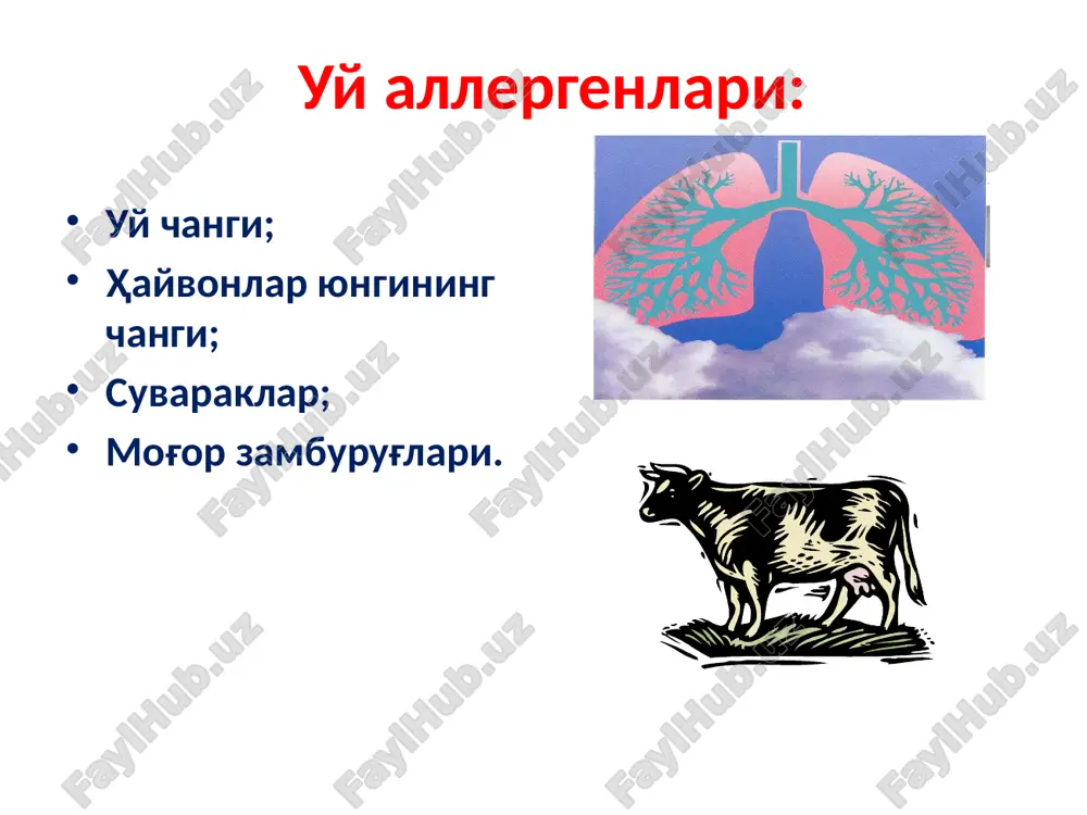 ishlar tungi simptomlar oyida 2 martadan ko'p emas. - ofv1 yoki psv ≥80% normaga nisbatan - psv yoki ofv1 30% dan ko'p. gyna 2002 jncht – jadallashgan nafas chikarish tezligi. nchx1 – 1 soniyadagi jadallashgan nafas chikarish xajmi 29 simptomlar har kuni kuzatiladi. tez – tez xurujlar qaytalanadi. tungi simptomlar ko'p qaytariladi jismoniy aktivlik cheklanishi ofv1 yoki psv ≤60% dan kam normaga nisbatan. - psv yoki ofv1 ko'rsatkichlar farqi > 30% dan ko'p astma og'irlik darajasiga ko'ra tasnifi (gina -xalqaro standartlar asosida). 4 bosqich : og'ir persistirlovchi gyna 2002 jncht – jadallashgan nafas chikarish tezligi. nchx1 – 1 soniyadagi jadallashgan nafas chikarish xajmi 30 klassifikatsiya ba 2.4. kasallik davriga ko'ra: – qo'zg'alish – remissiya 2.5. kasallik asoratlari: – o'pka yurak (legochnoe serdtse) – o'pkaning surunkali emfizemasi – pnevmoskleroz; – segmentar yoki polisegmentar atelektaz – emfizema –pnevmotoraks – astmatik status – nevrologik asoratlar klinikasi bronxial astmaning bolalarda kechishi 4 ta davrga …