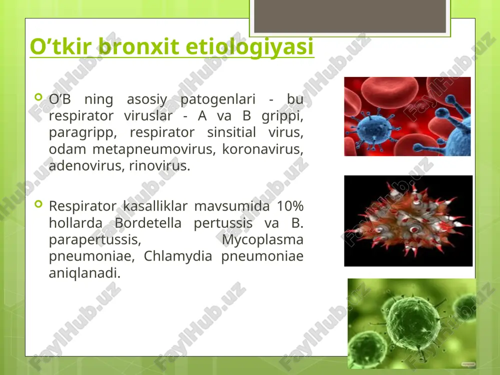 bo’ladi. etiologiyasi chekish (faol va passiv) pollyutantlar infeksiya: respirator virus pnevmakokk gemofil tayoqcha mikoplazma xlamidiya patogenezi agentning qayta ta’siri bronxial bezlardagi qadahsimon hujayralarning giperplaziyasi, sekret giperproduksiyasi va shilliq tarkibining o’zgarishi (diskriniya) mukosiliar klirensning buzilishi o’choqli distrofiya va “kal dog’i” hisobiga kipriksimon hujayralarning o’lishi shikastlangan bronxlar shilliq qavatida mikroorganizmlarning to’planishi yalliglanishli shish, bezlar gipertrofiya va atrofiyasi asosiy klinik belgisi – yo’tal va bal’gam ajralishi (shilliq-yiringli, yiringli) hisoblanadi. ob’yektiv belgilar, tekshirish va davolash usullari o’tkir bronxitga o’xshaydi. tashxis qo’yish namunalari surunkali oddiy bronxit, o’rta og’irlikda kechishi, qo’zish davri. surunkali oddiy yiringli bronxit, o’rta og’irlikda kechishi, qo’zish davri. asorati: nafas yetishmovchili ii daraja.