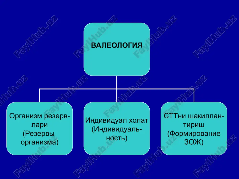 h tarzini shakillantirish xayot sifati ma'naviy tamoillarga oid standartlar standarti k duxovnim aspektam tselevoy gruppi xomilador ayol (beremennaya jenshina) bilim (znaniya) ma'suliyat (otvetstvennost) soglom xarakat (pozitivnoe po vedenie) ruxiy tamoillarga oid standartlar standarti k psixologicheskim aspektam tselevoy gruppi xomilador ayol (beremennaya jenshina) chidamlilik, sabr-tokat (terpimost) xomiladorga xushmuo- milalik, xurmat (vejlivost,uvajenie k beremennoy) e'tiborlik,sevgi tuygu- lari(lyubov,vnimanie) jismoniy tamoillarga oid standartlar standarti k fizicheskim aspektam xomilador ayol beremennaya jenshina jismoniy xarakat- lar(dozirovannie fizicheskie nagruzki) davolash -profi- laktik gimnastika (lechebno-profilak- ticheskaya gimnastika) tugishga jismoniy tayergarlik(fiziches- kaya podgotovka k rodam) tibbiy tamoillar standartlari standarti k meditsinskim aspektam xomilador ayol beremennaya jenshina sogligiga ma'suliyat (otvetstvennoe otno- shenie k zdorovyu) stt ga rioya kilish(znaniya ele- mentov zoj v period beremennosti ) uz xolatiga doimo na- zorat(kontrol za svoim sostoyaniem ) ma'naviy tamoillar standartlari standarti k duxovnim aspektam gudak bola grudnoy rebenok ona va atrofdagi kishilar (rojenitsa i ee okrujenie) bilim,saviya (znaniya, krugozor) ona sutiga katta e'tibor …